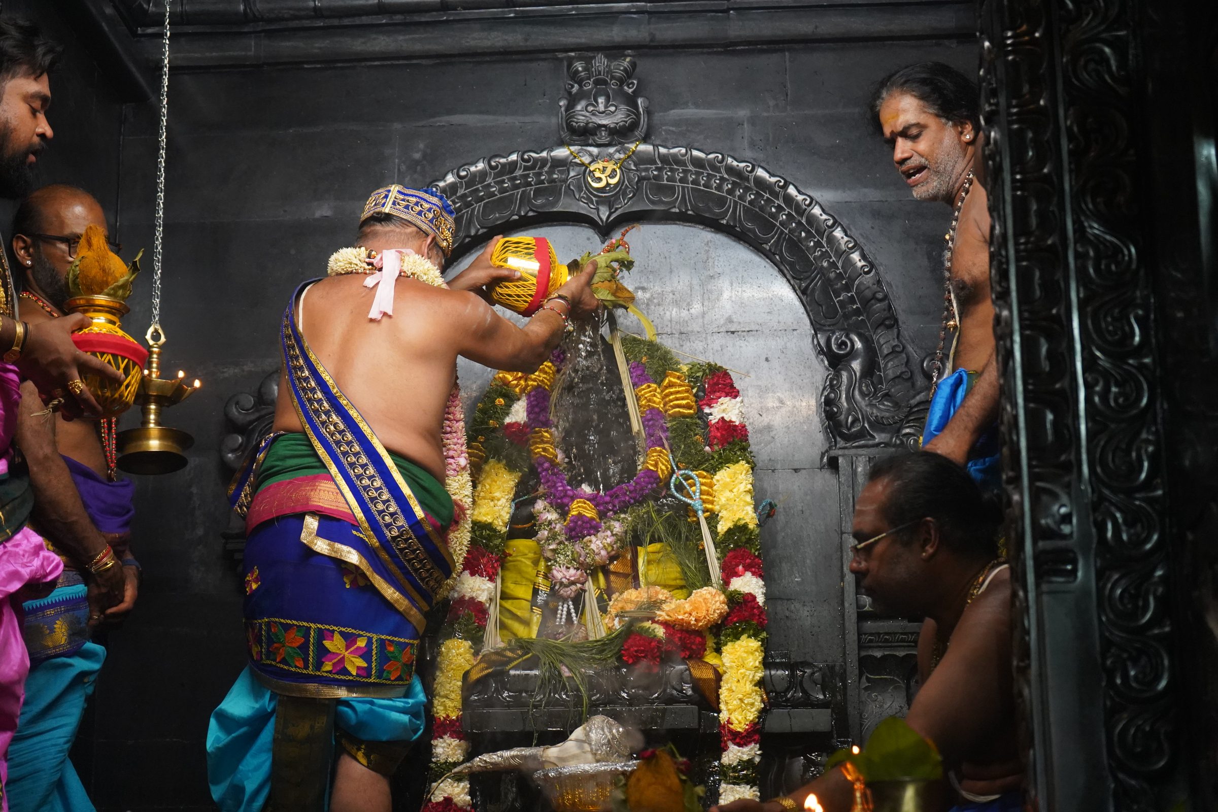 Festival 2026 photo