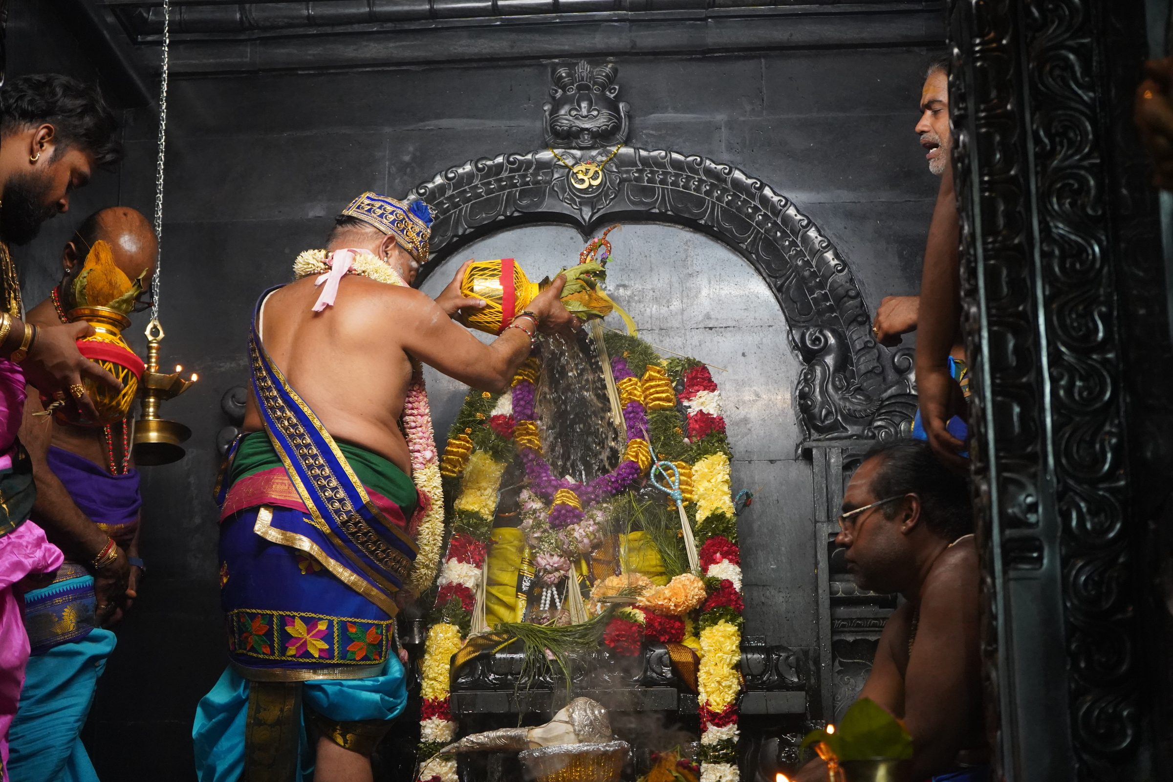 Festival 2026 photo