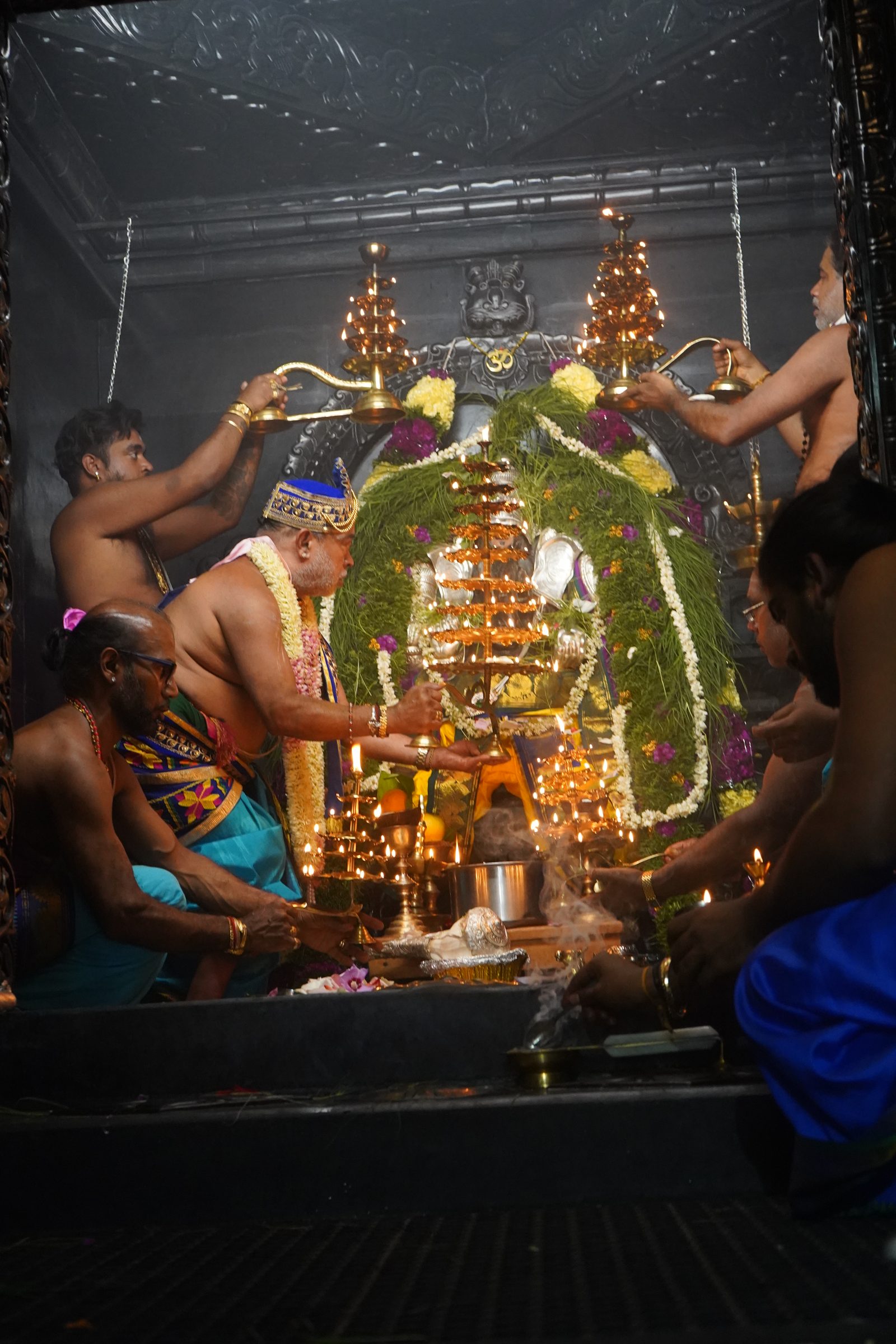 Festival 2026 photo