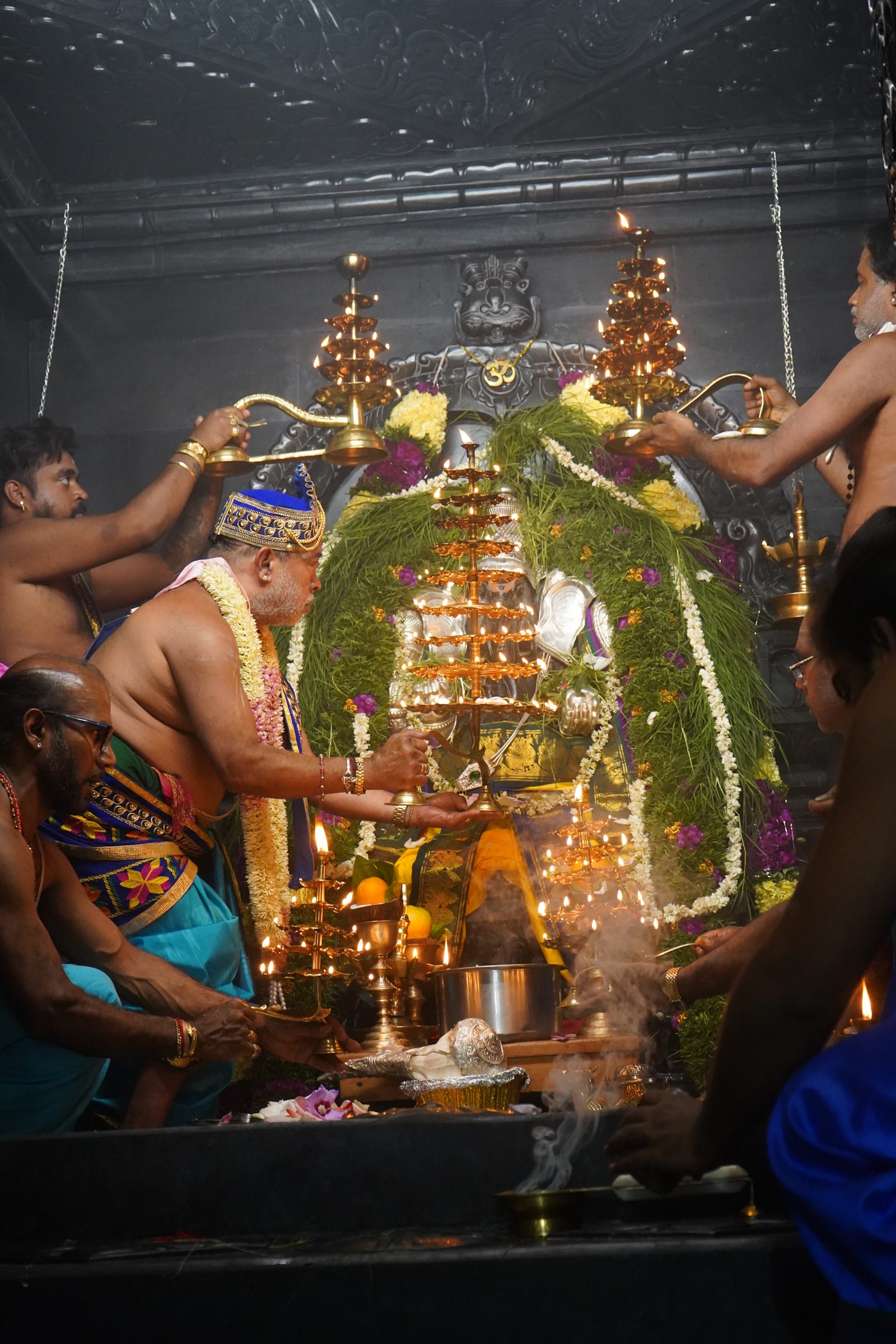Festival 2026 photo