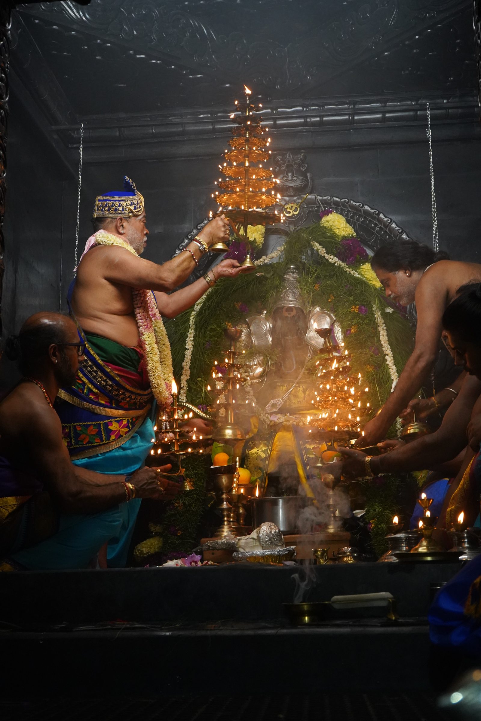 Festival 2026 photo