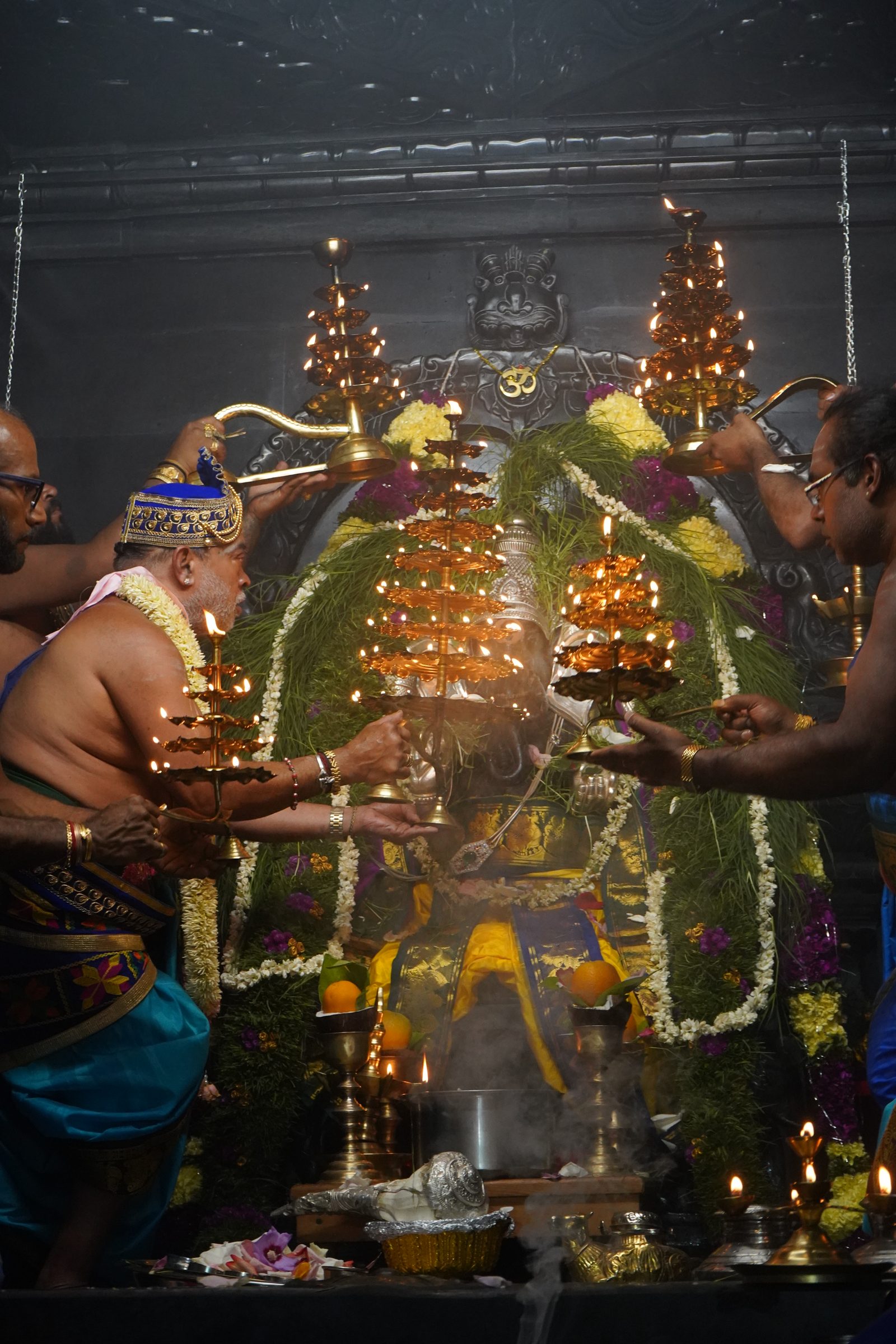 Festival 2026 photo