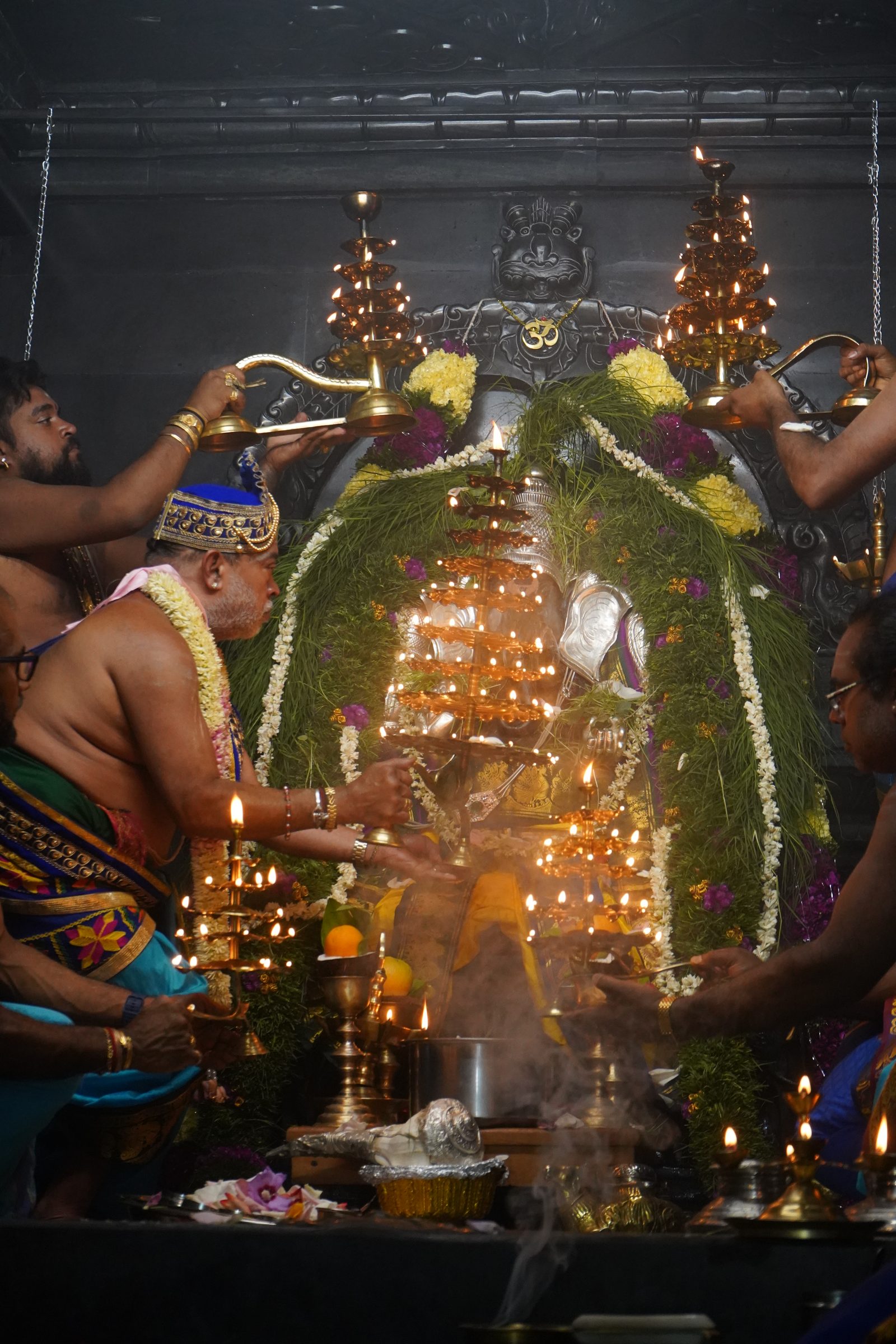 Festival 2026 photo