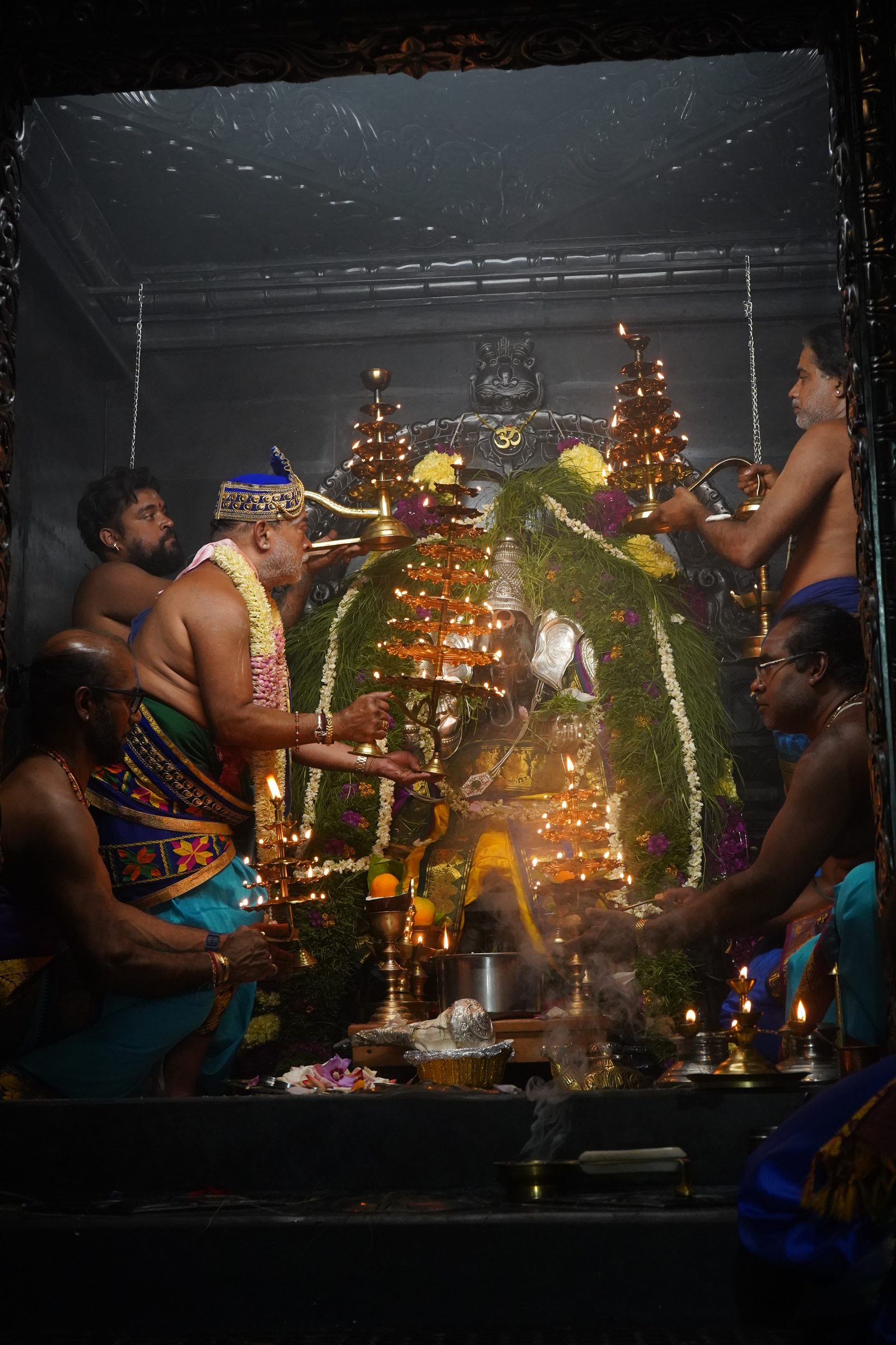 Festival 2026 photo