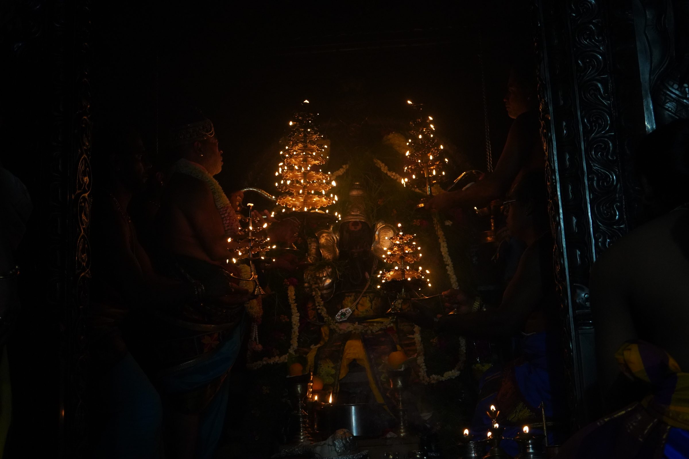 Festival 2026 photo