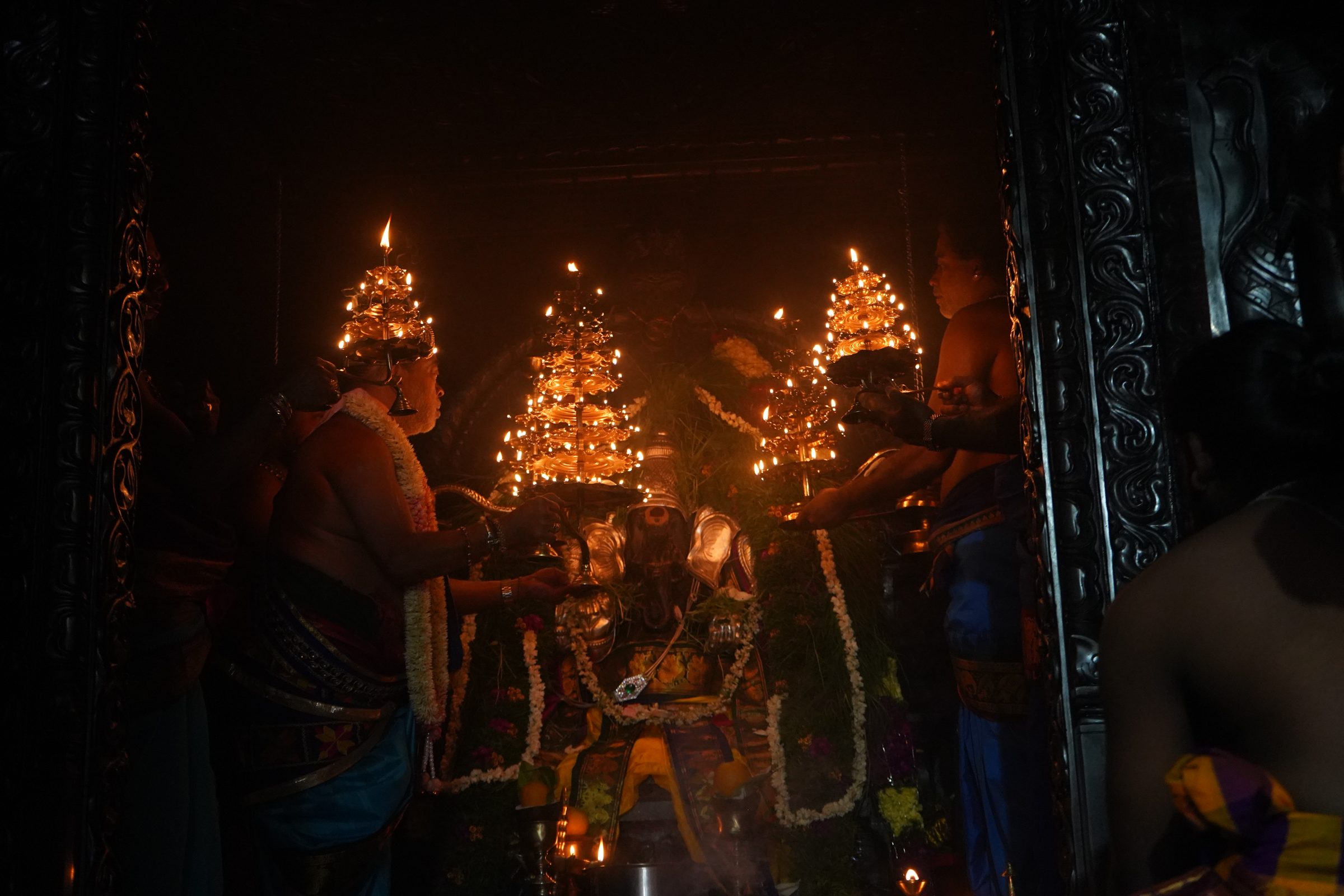 Festival 2026 photo