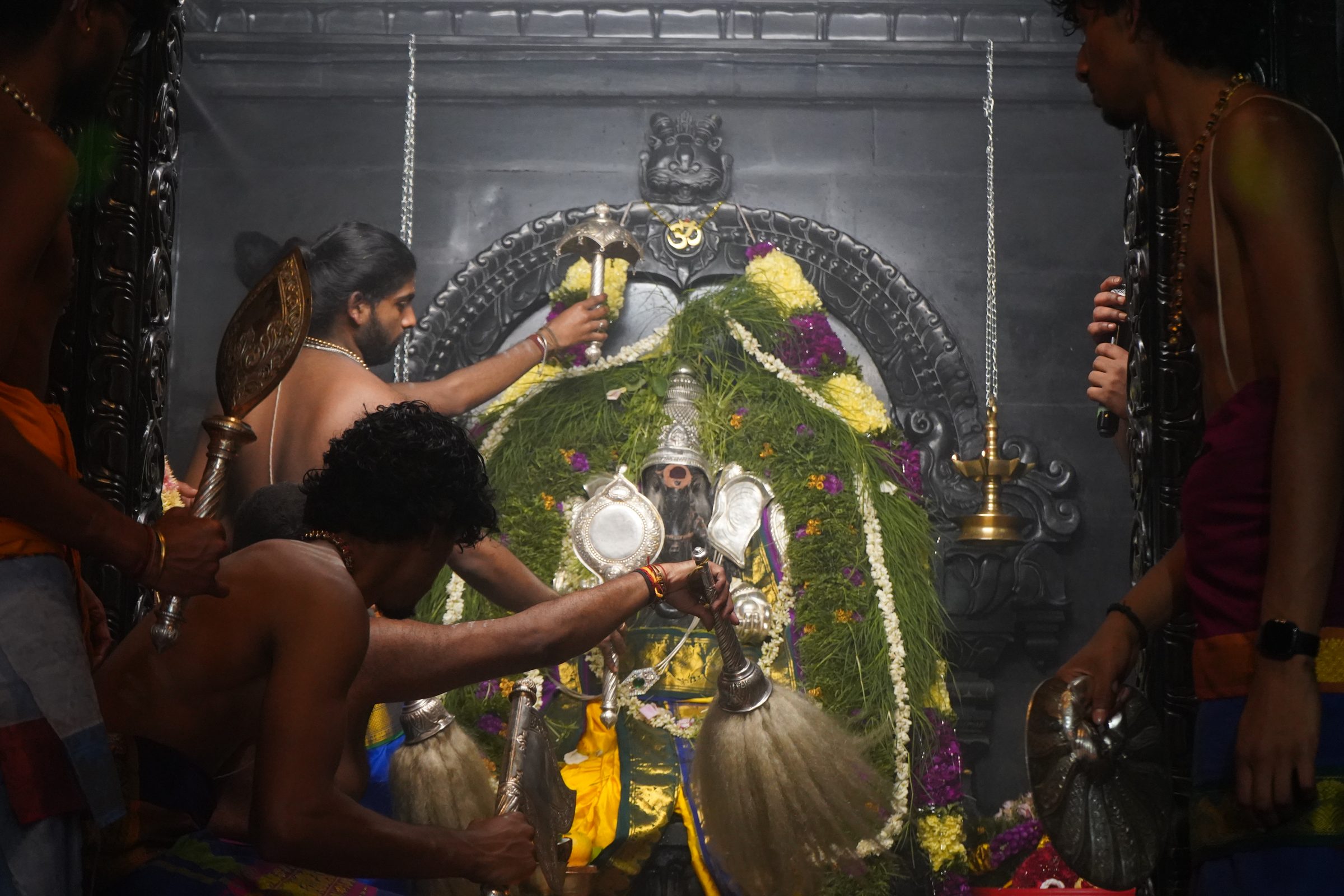 Festival 2026 photo