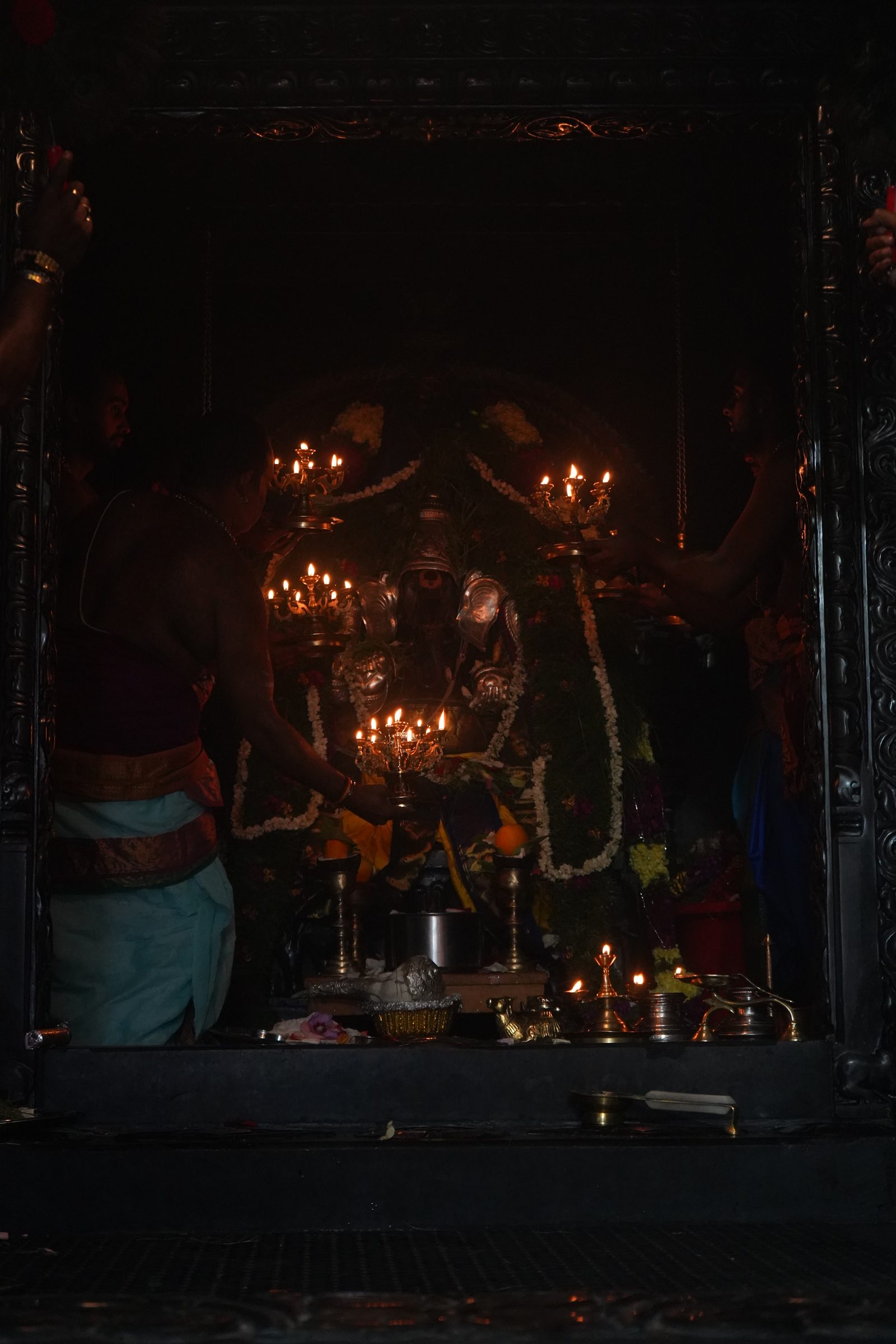 Festival 2026 photo