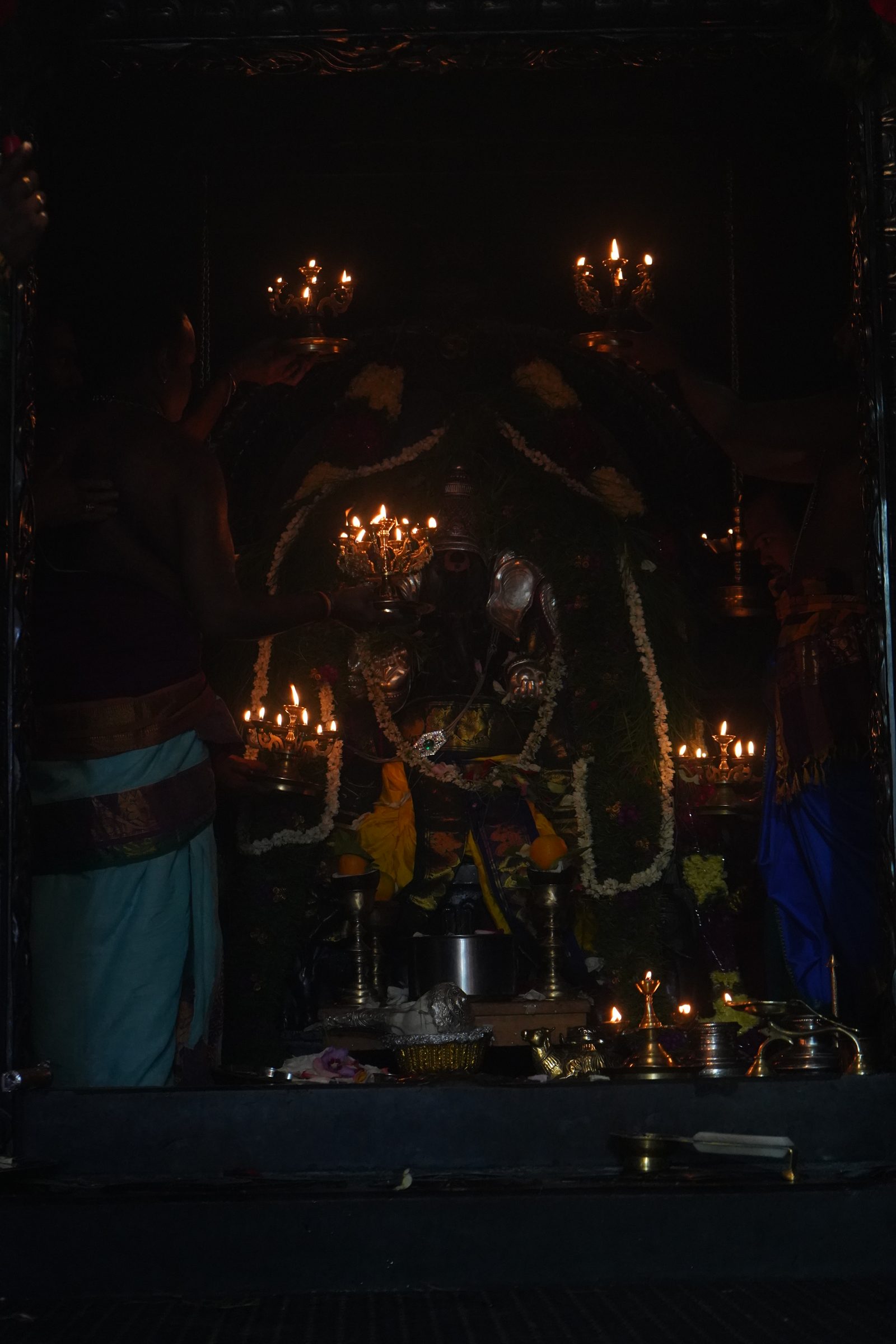 Festival 2026 photo