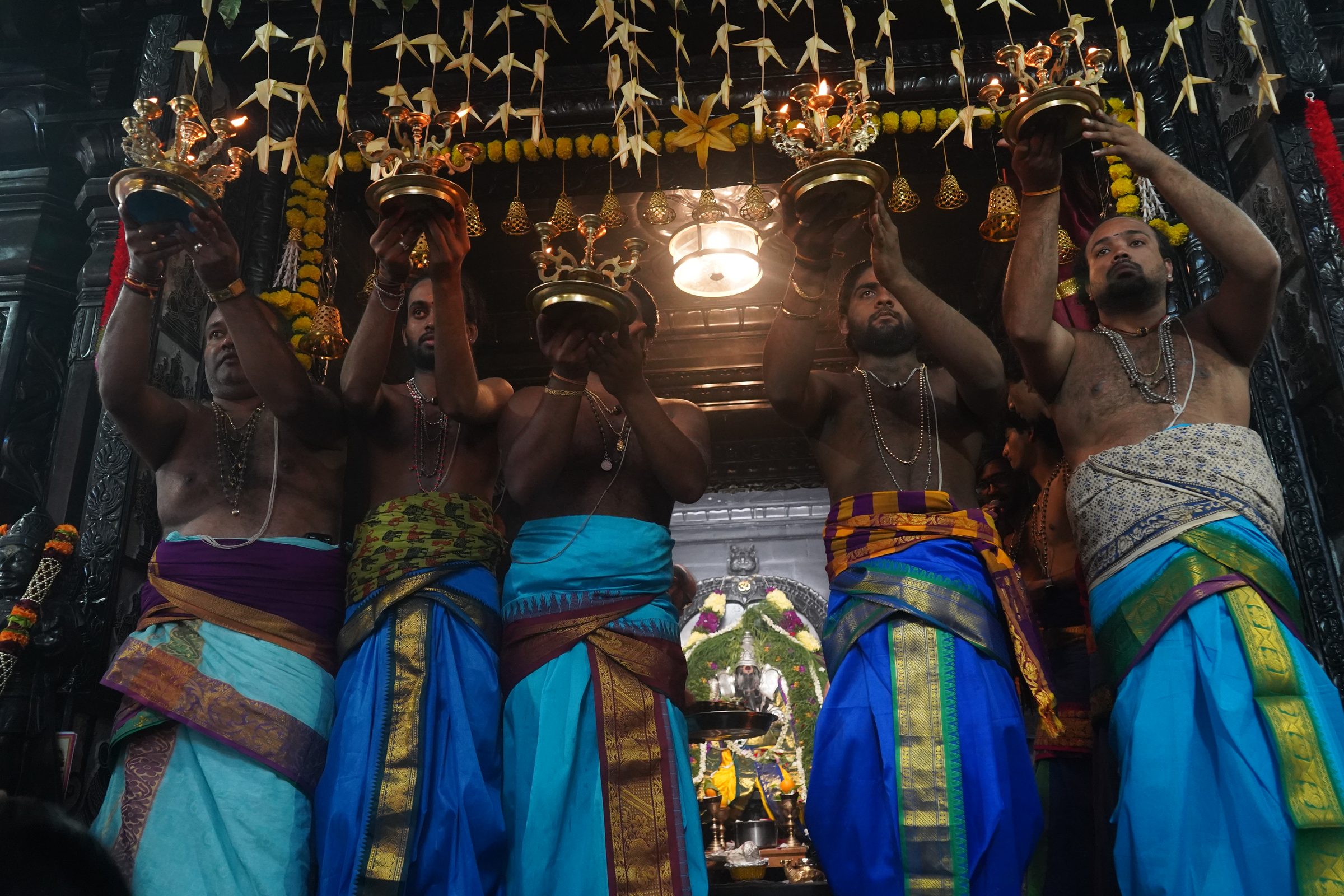Festival 2026 photo