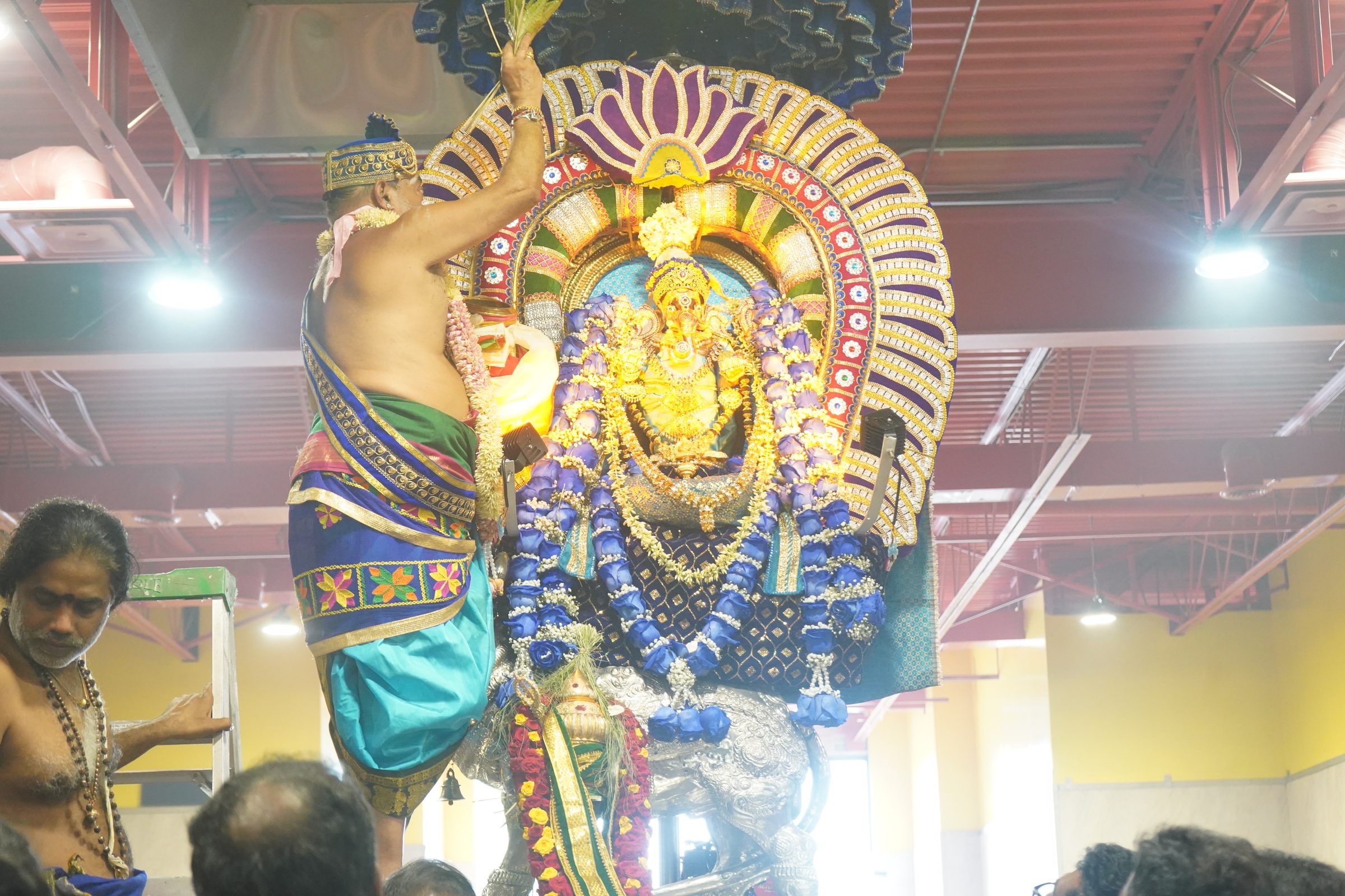 Festival 2026 photo