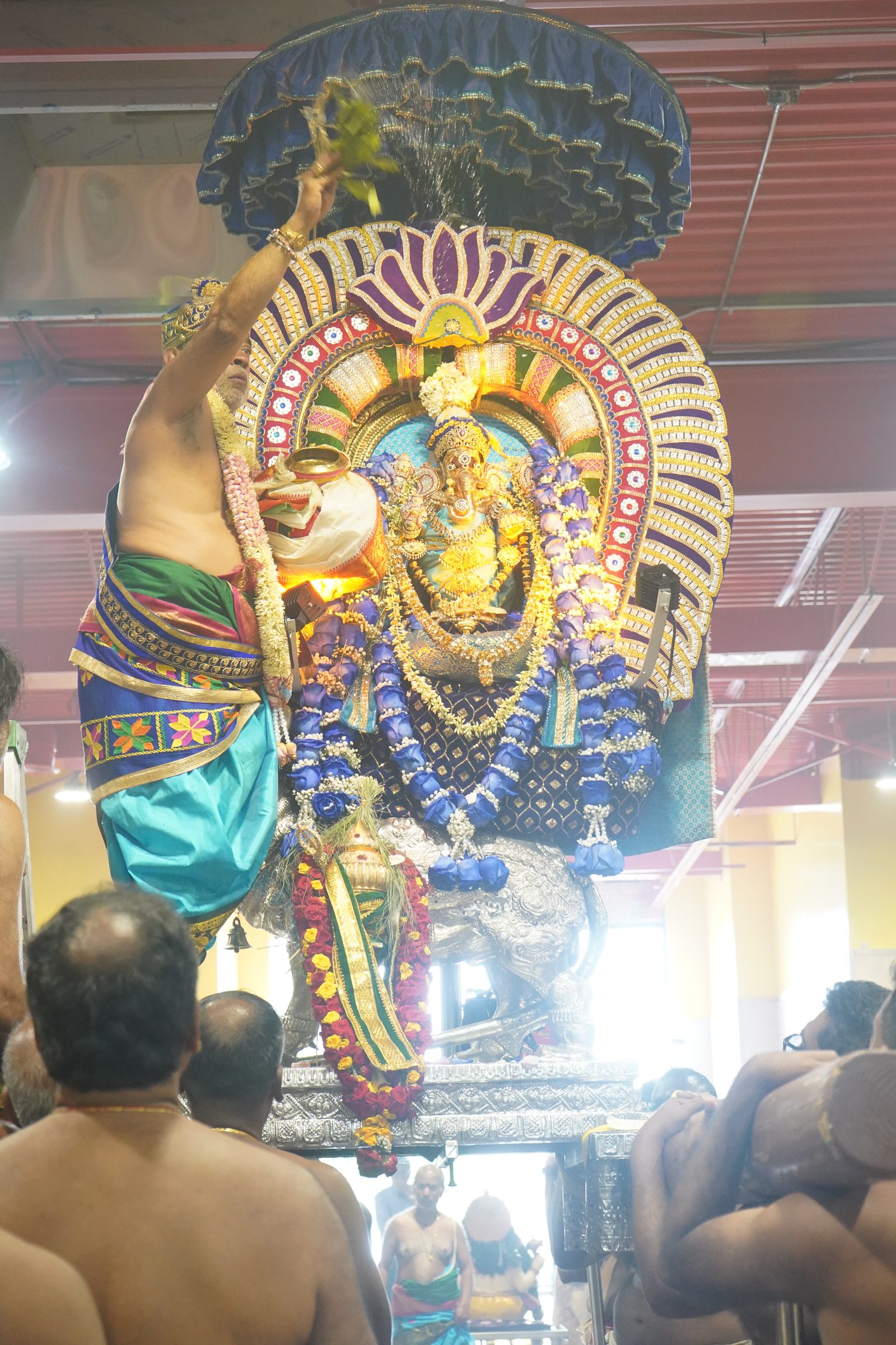 Festival 2026 photo