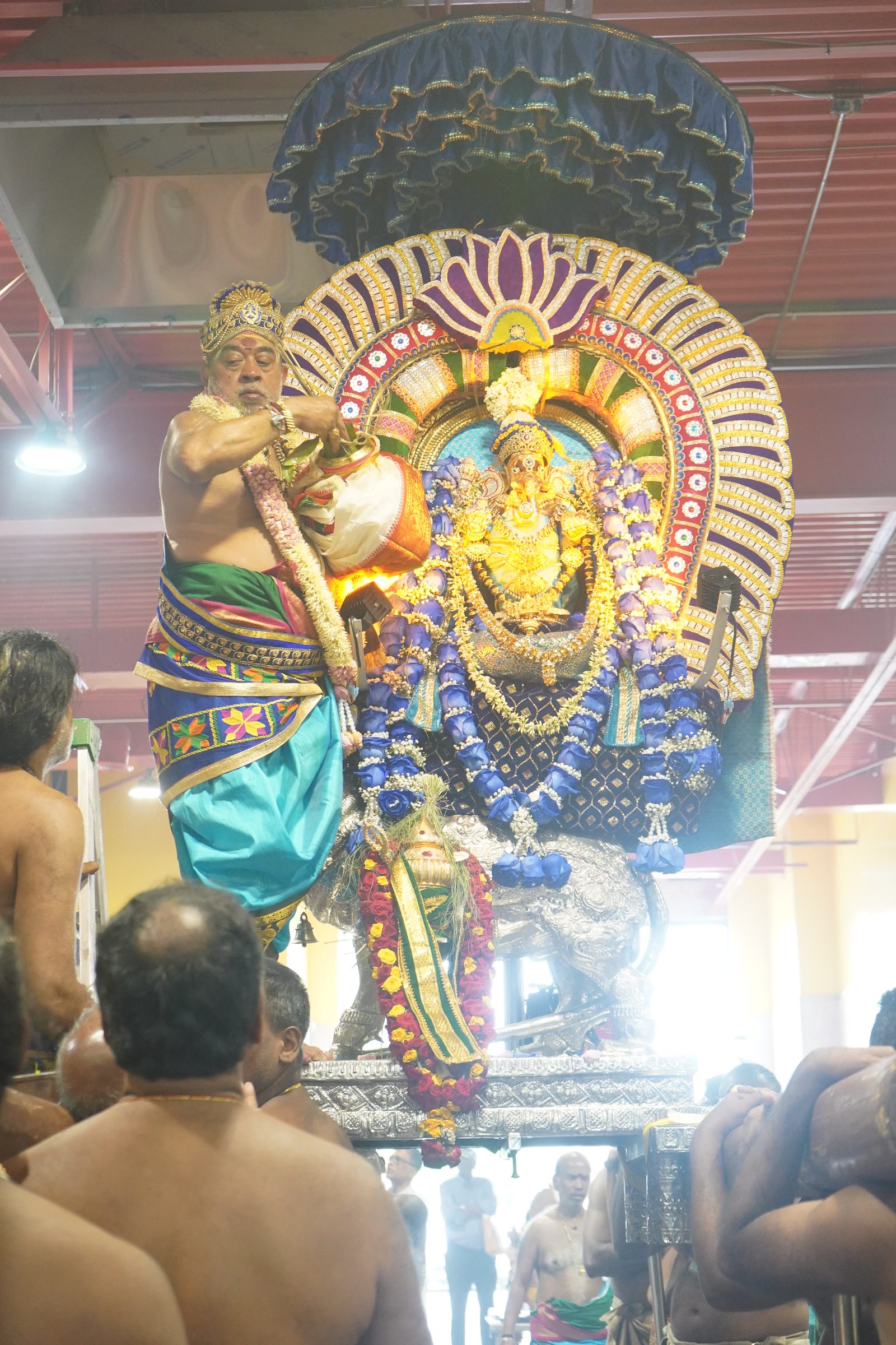 Festival 2026 photo