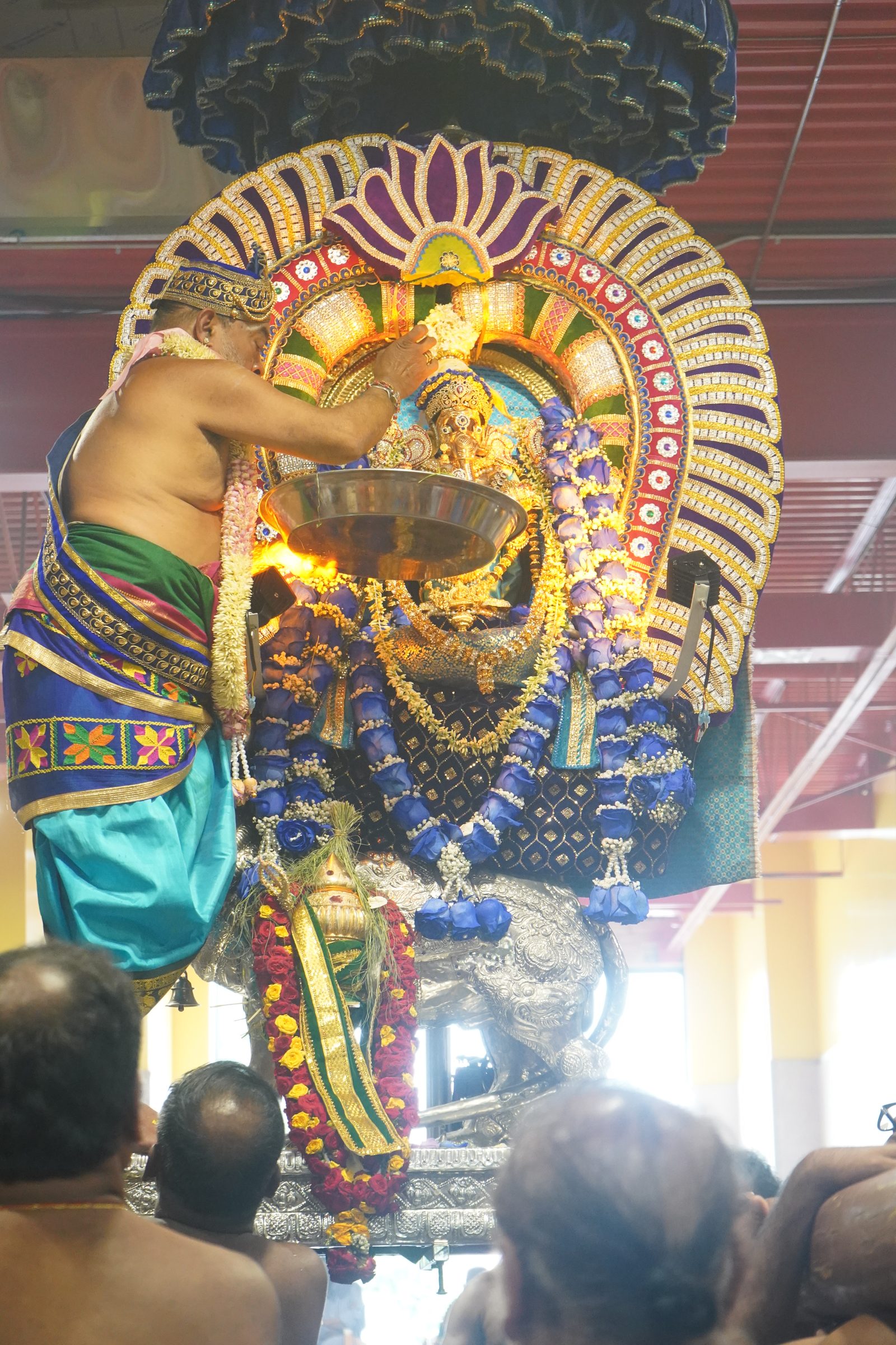 Festival 2026 photo