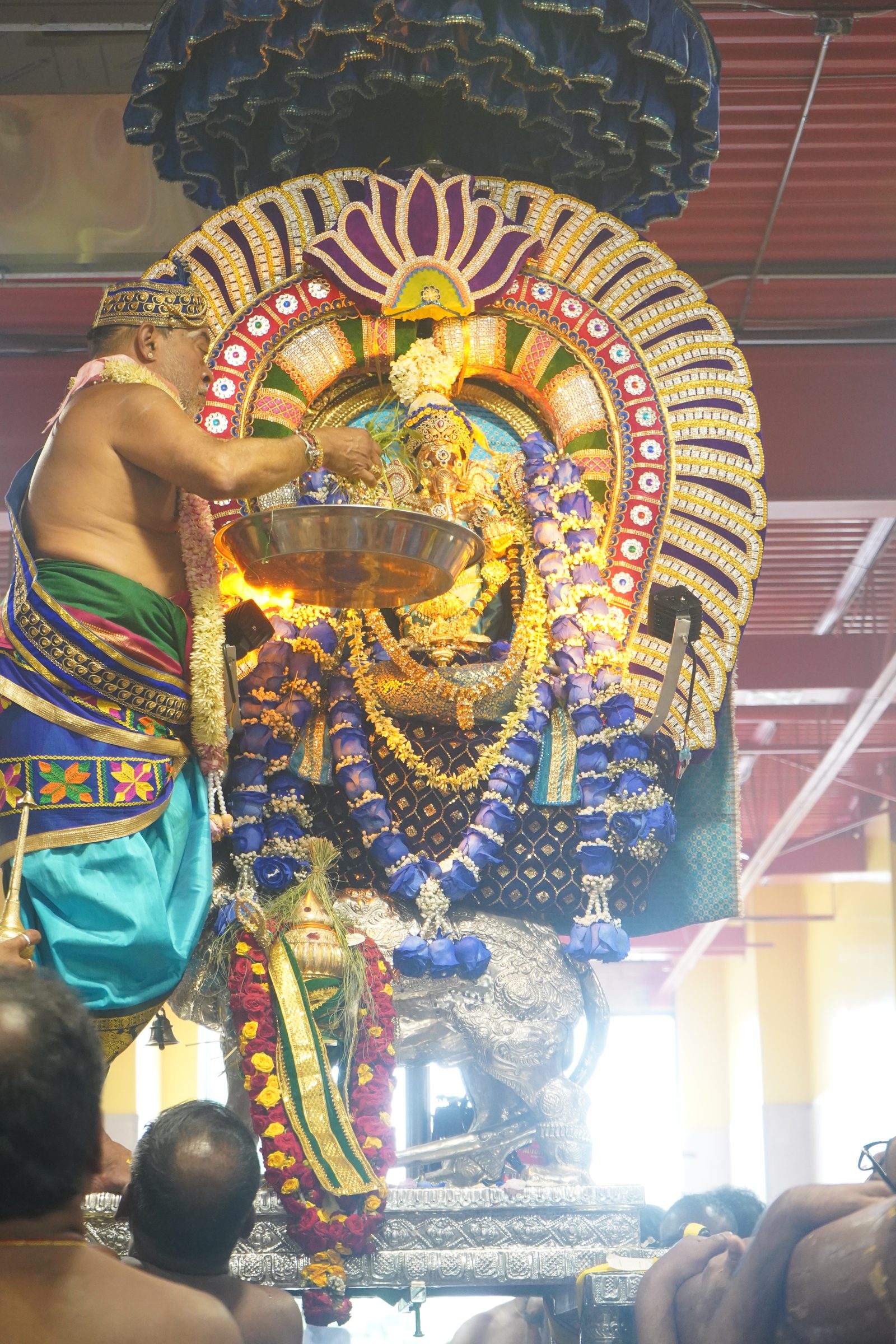 Festival 2026 photo