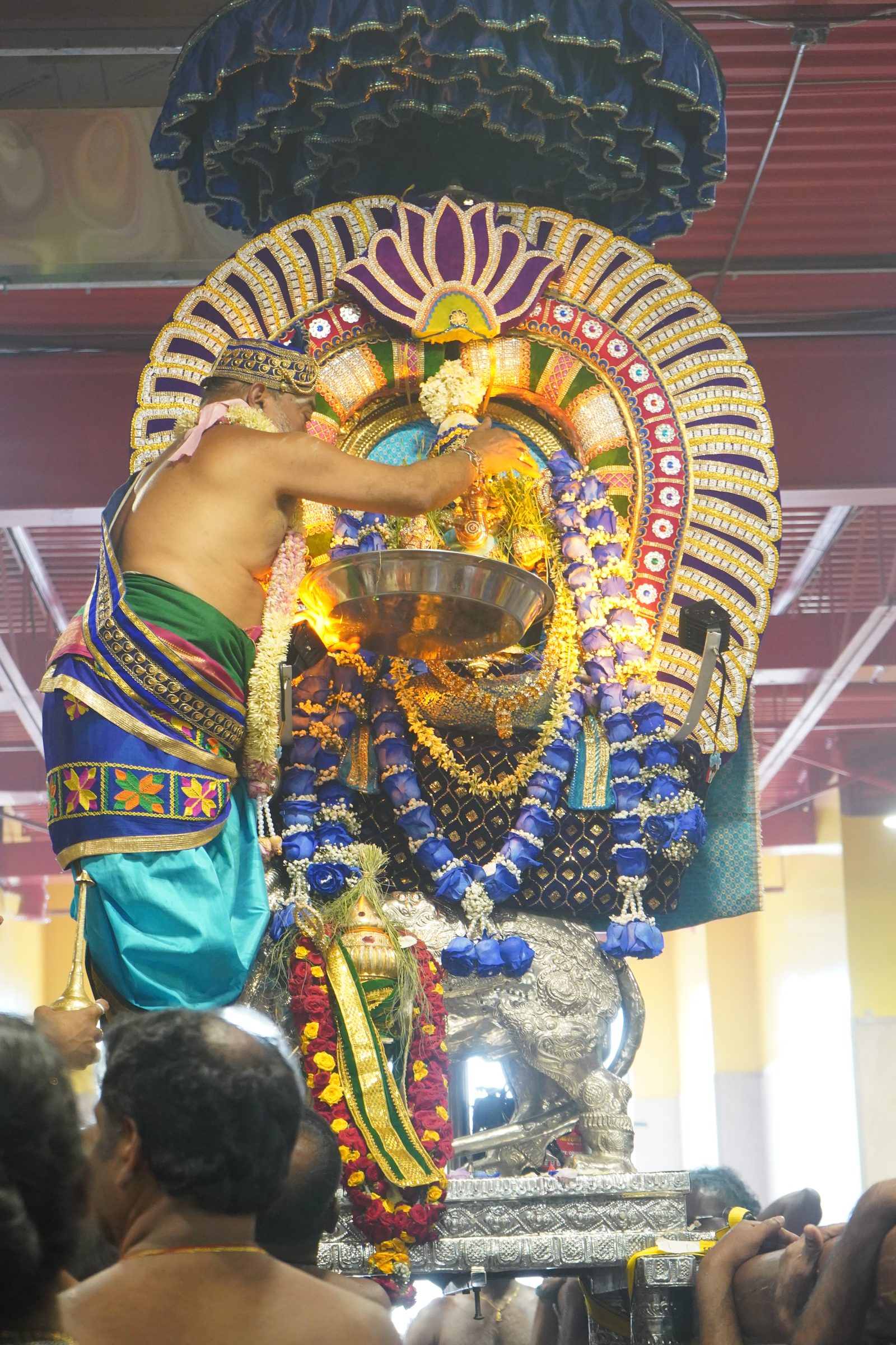 Festival 2026 photo
