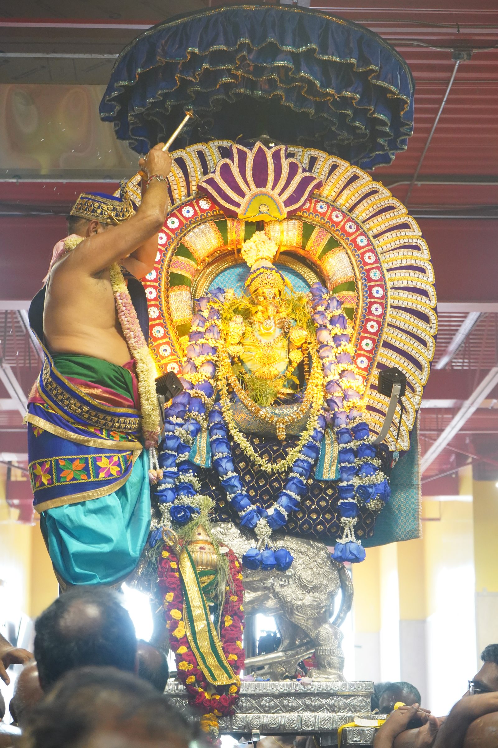 Festival 2026 photo