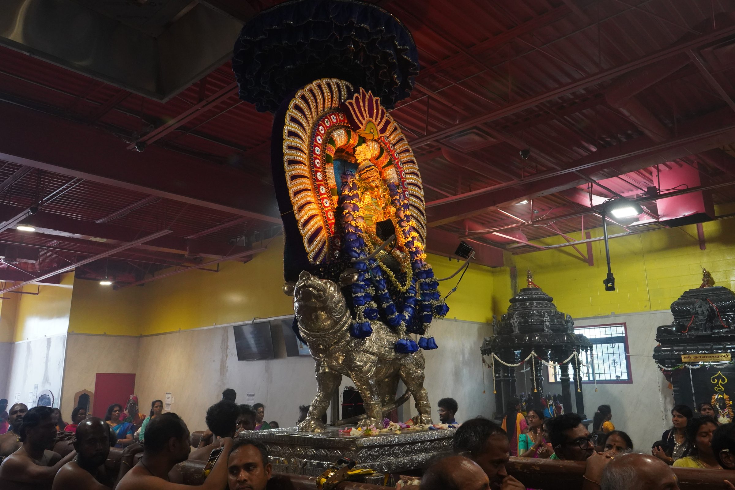 Festival 2026 photo