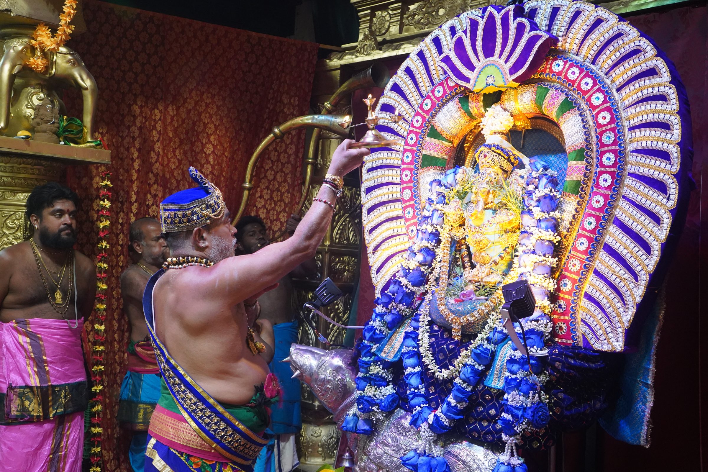 Festival 2026 photo