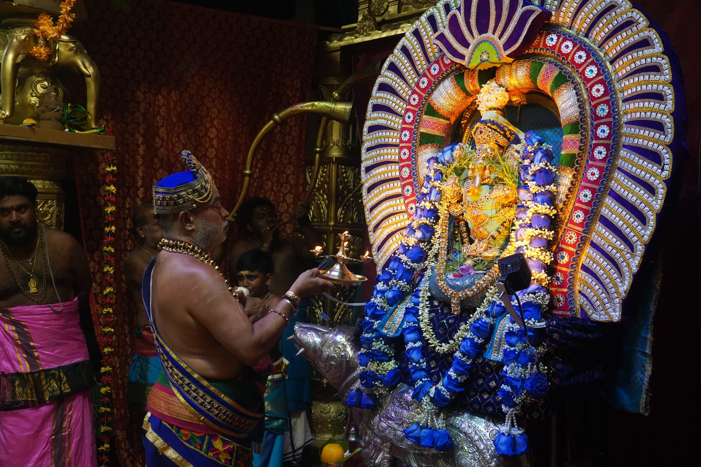 Festival 2026 photo