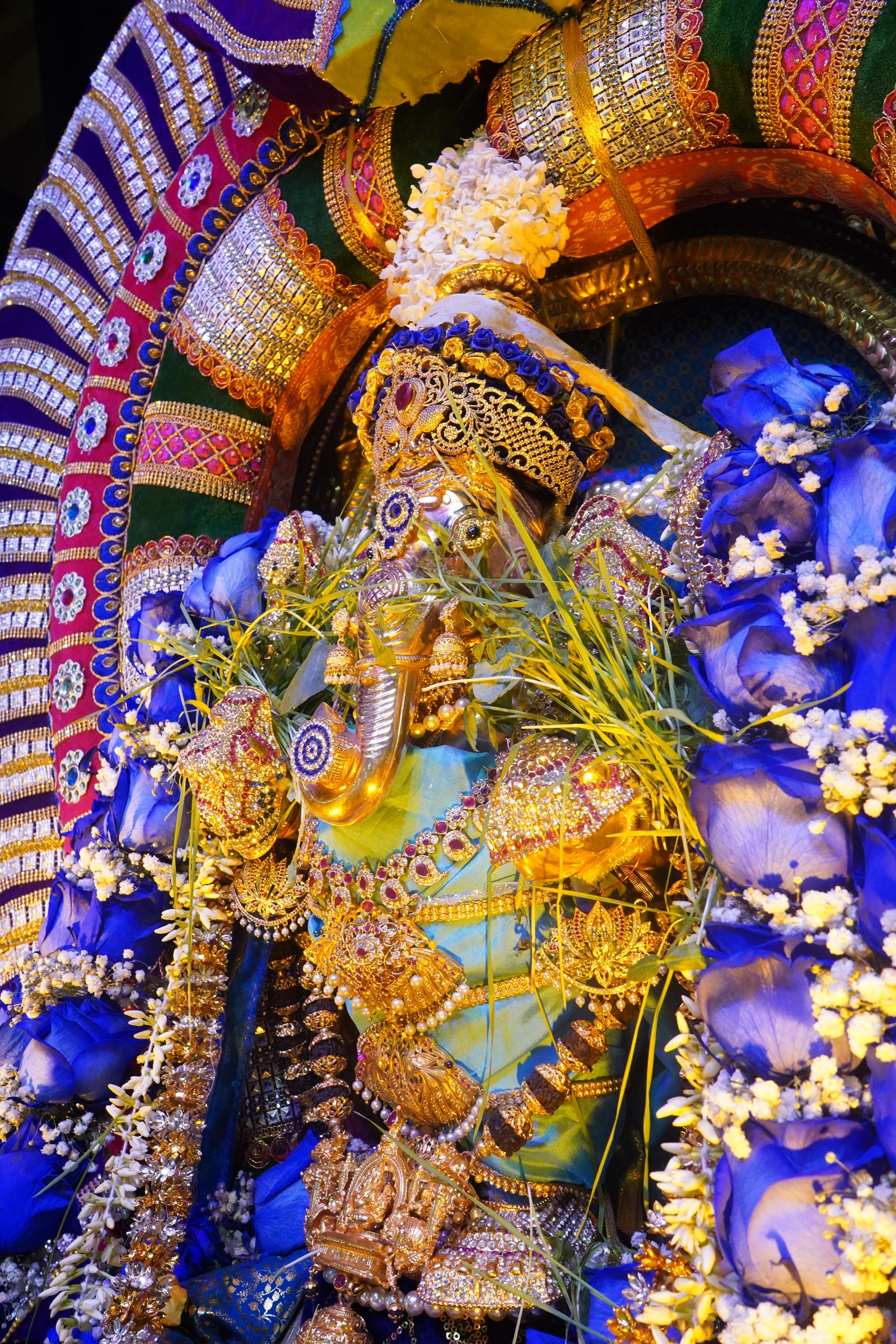 Festival 2026 photo