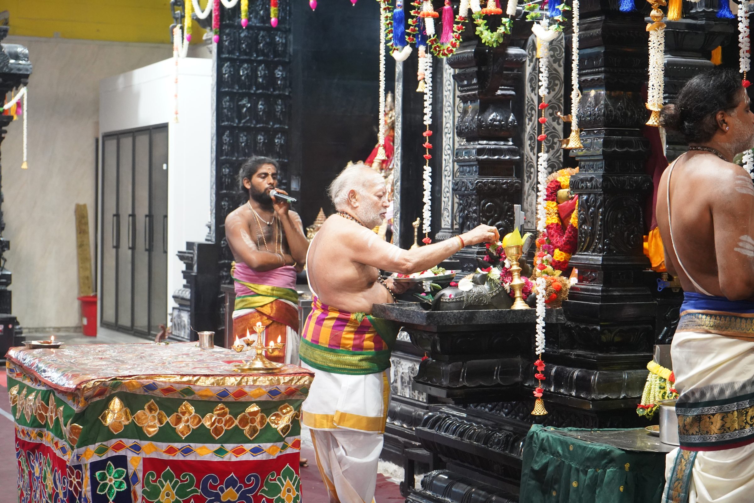 Festival 2026 photo
