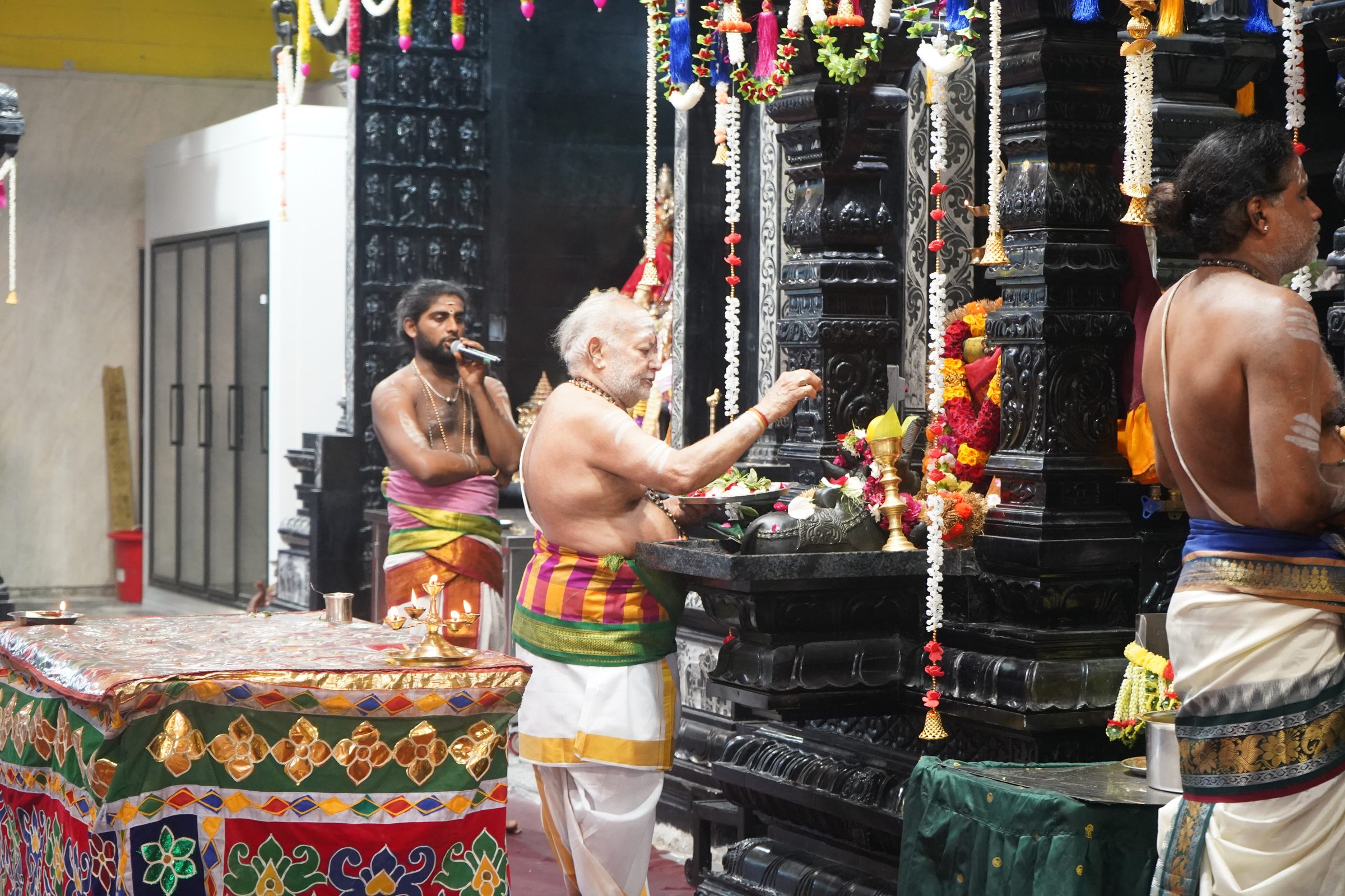 Festival 2026 photo