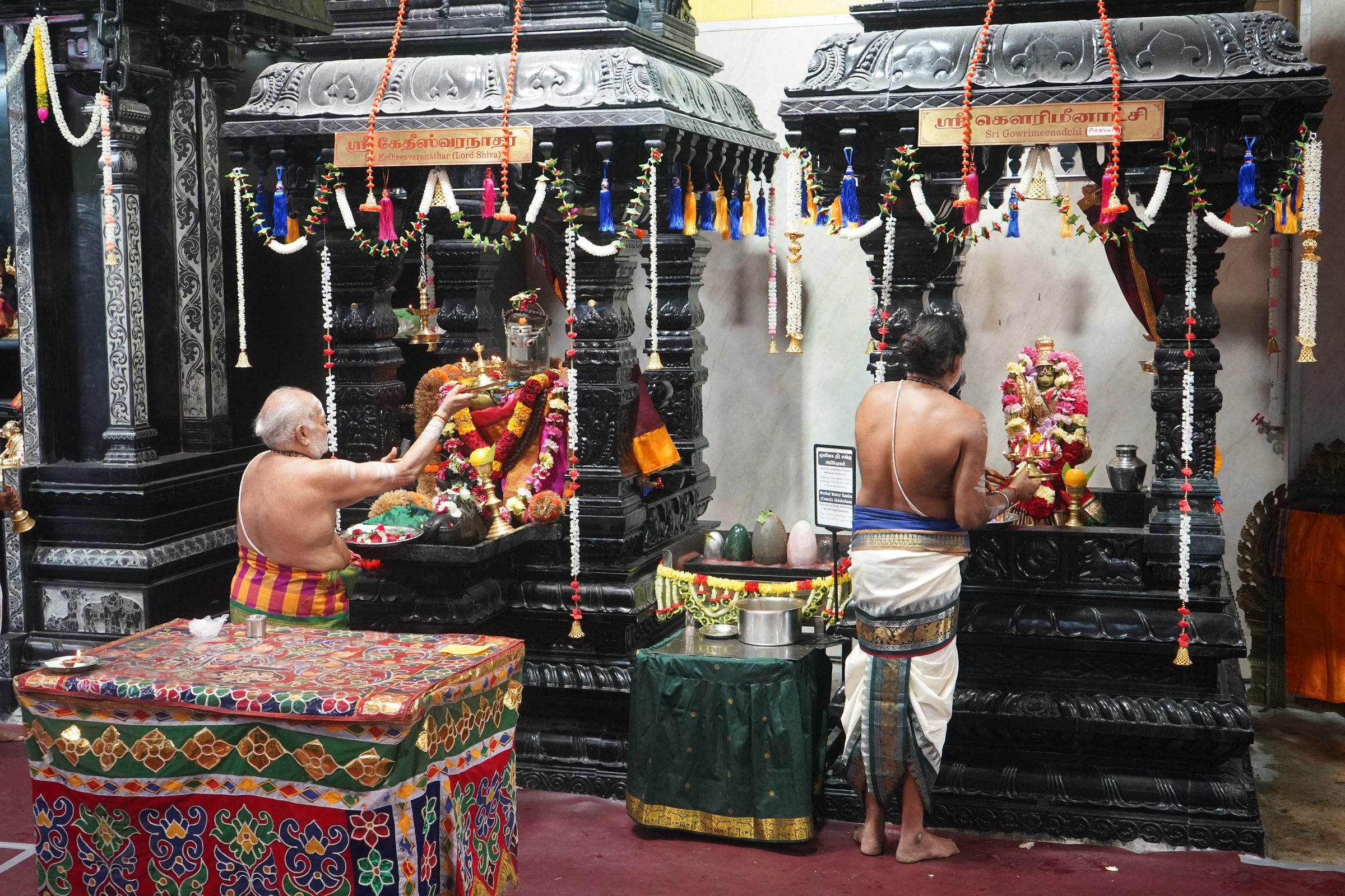 Festival 2026 photo