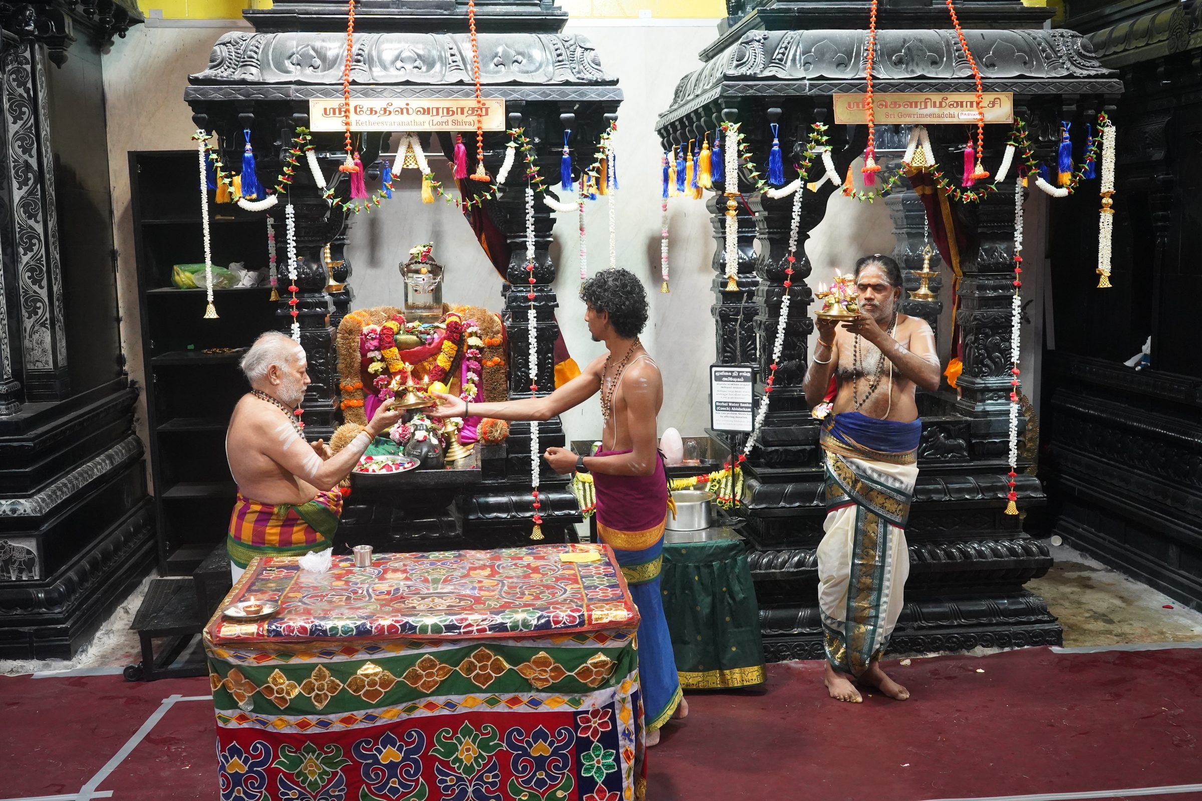 Festival 2026 photo
