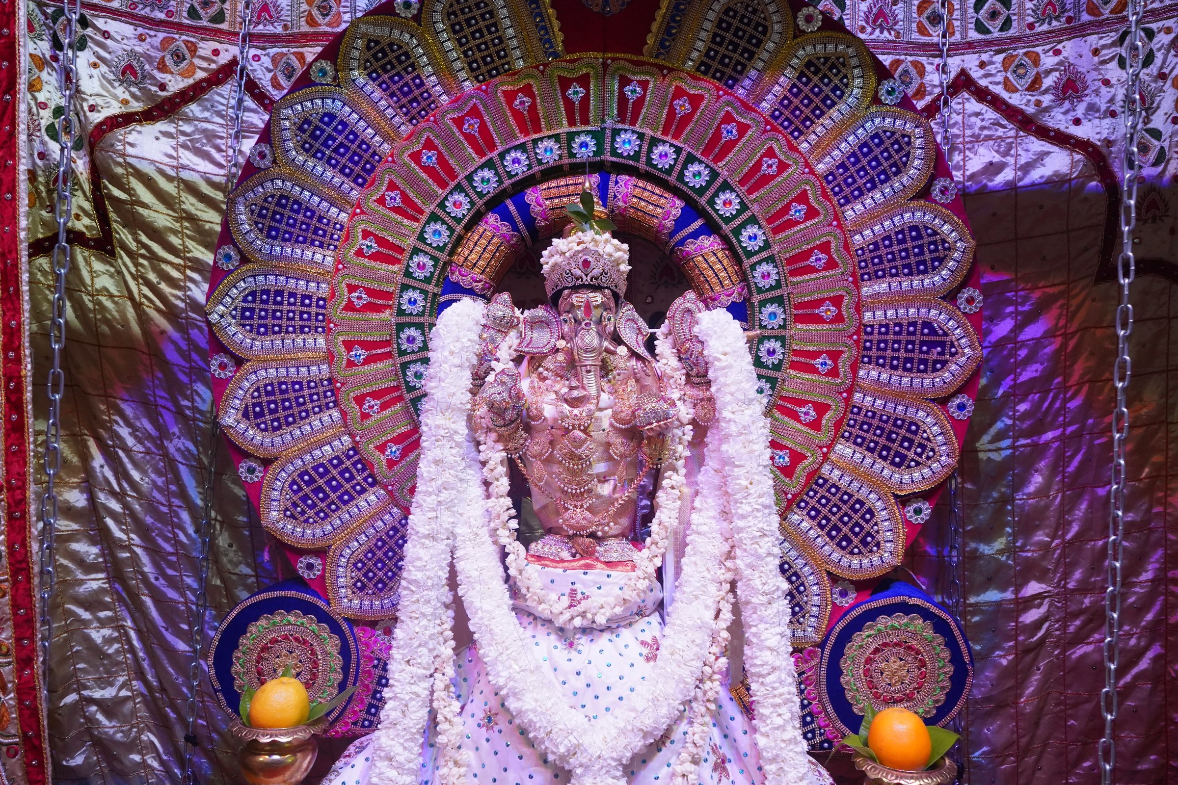Festival 2026 photo