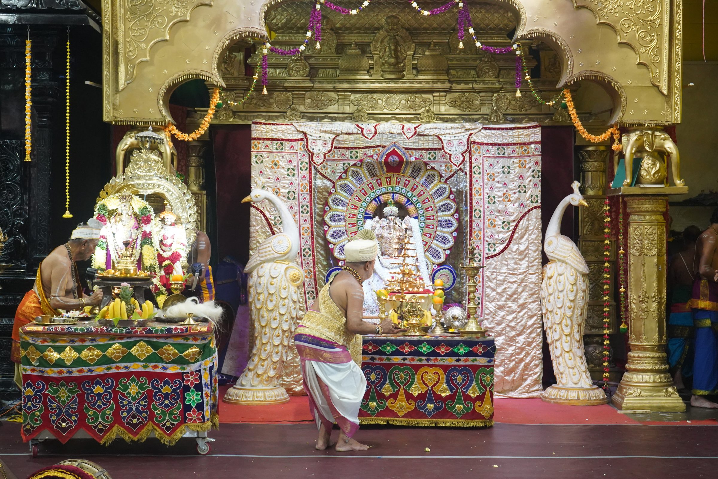 Festival 2026 photo