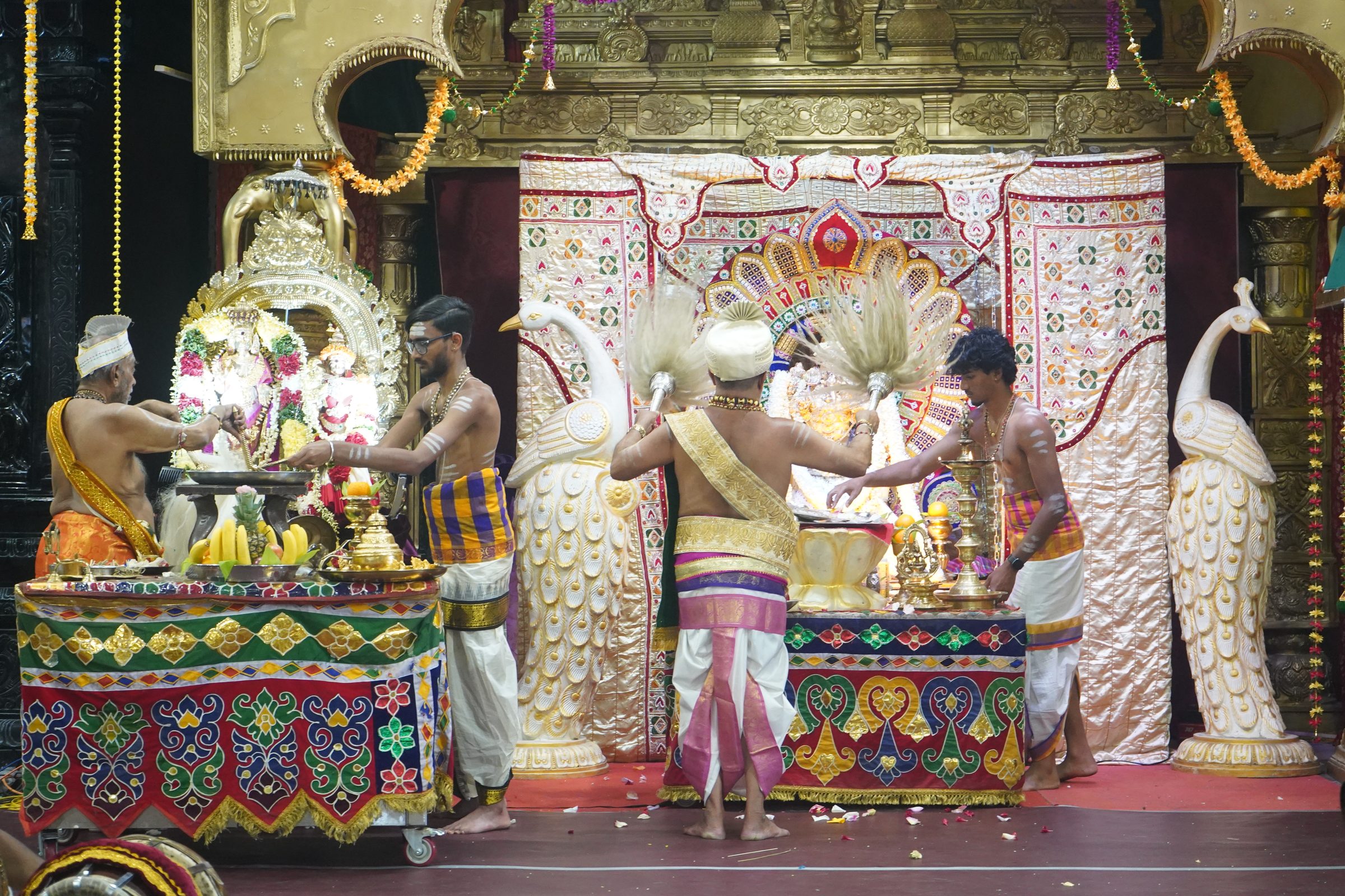 Festival 2026 photo