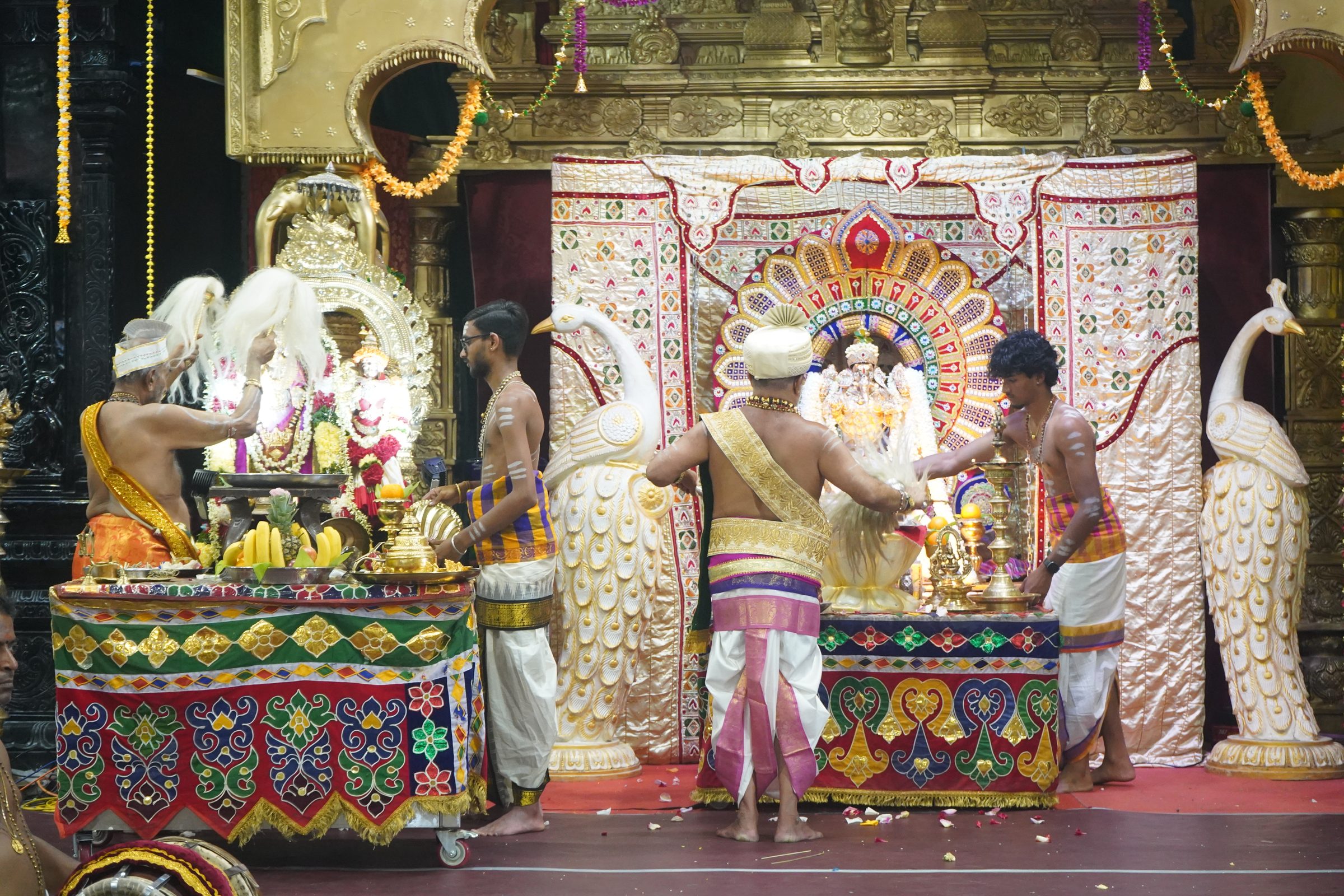 Festival 2026 photo
