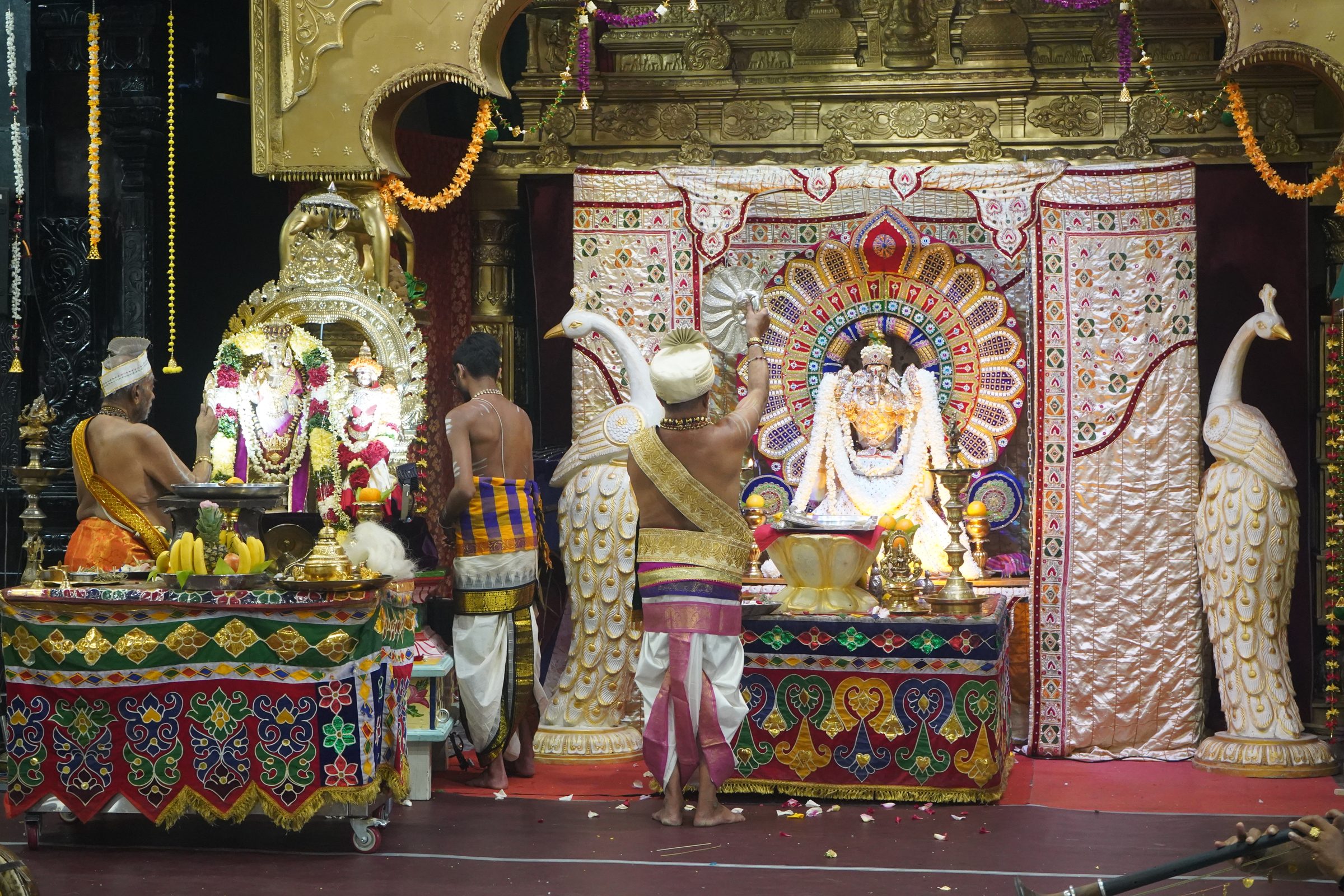 Festival 2026 photo