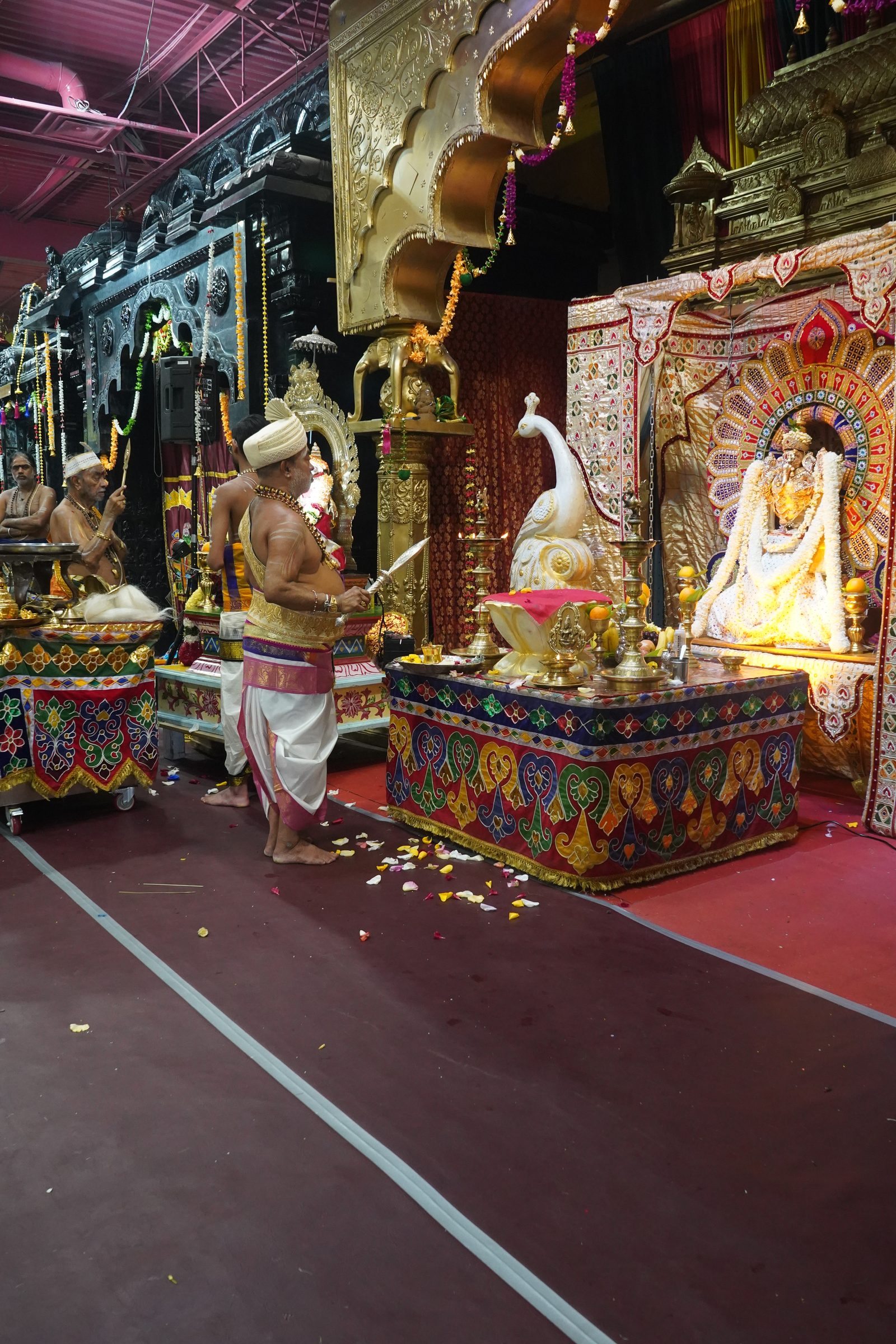 Festival 2026 photo