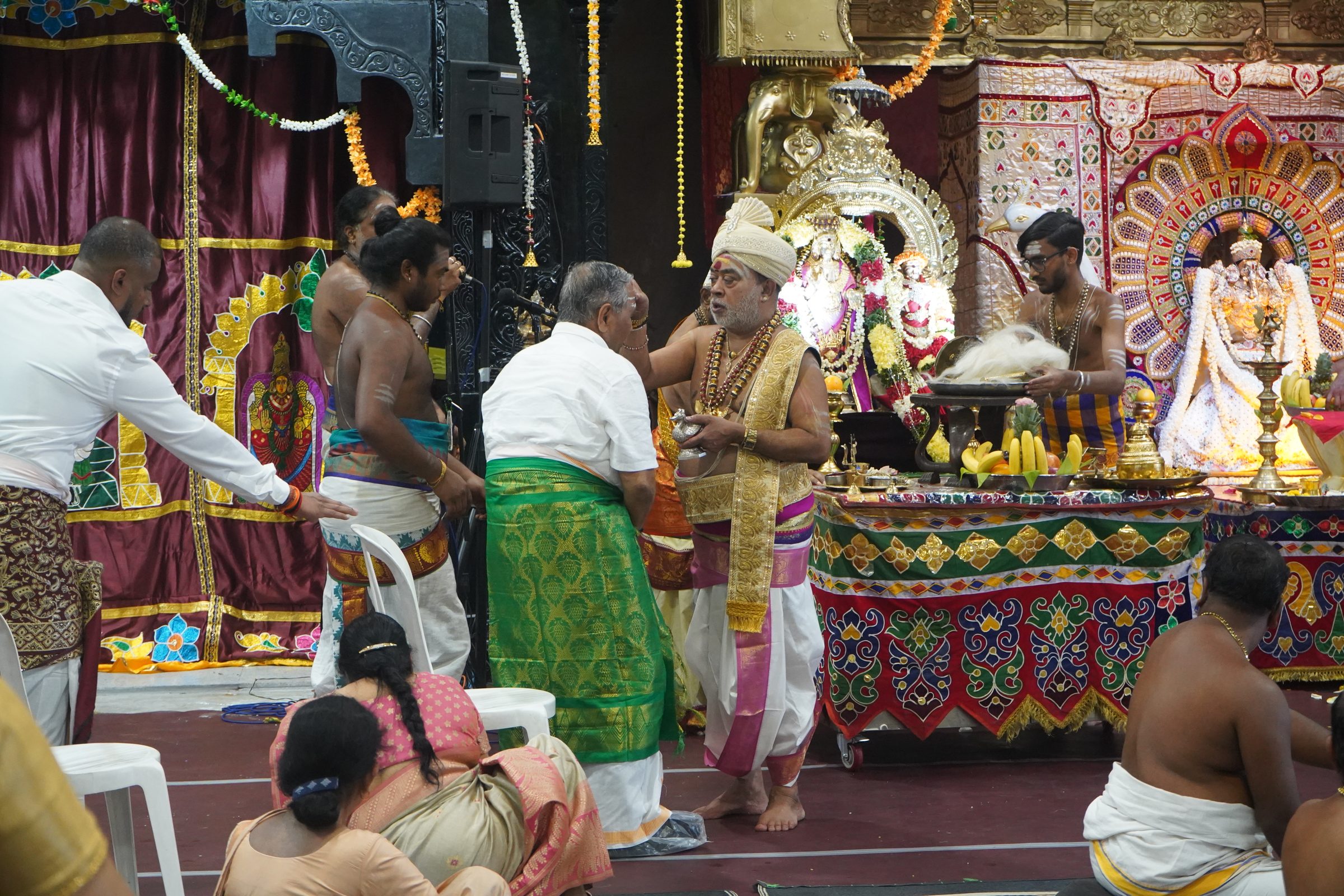 Festival 2026 photo