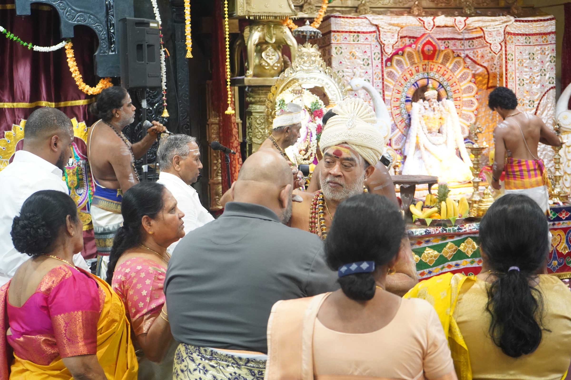 Festival 2026 photo
