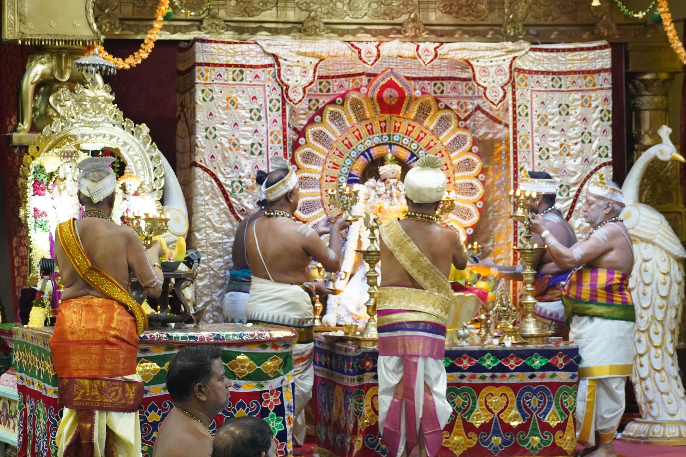 Festival 2026 photo