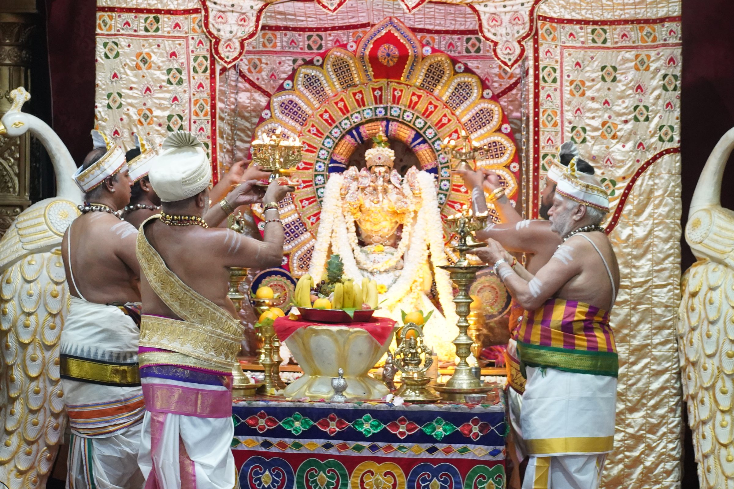 Festival 2026 photo