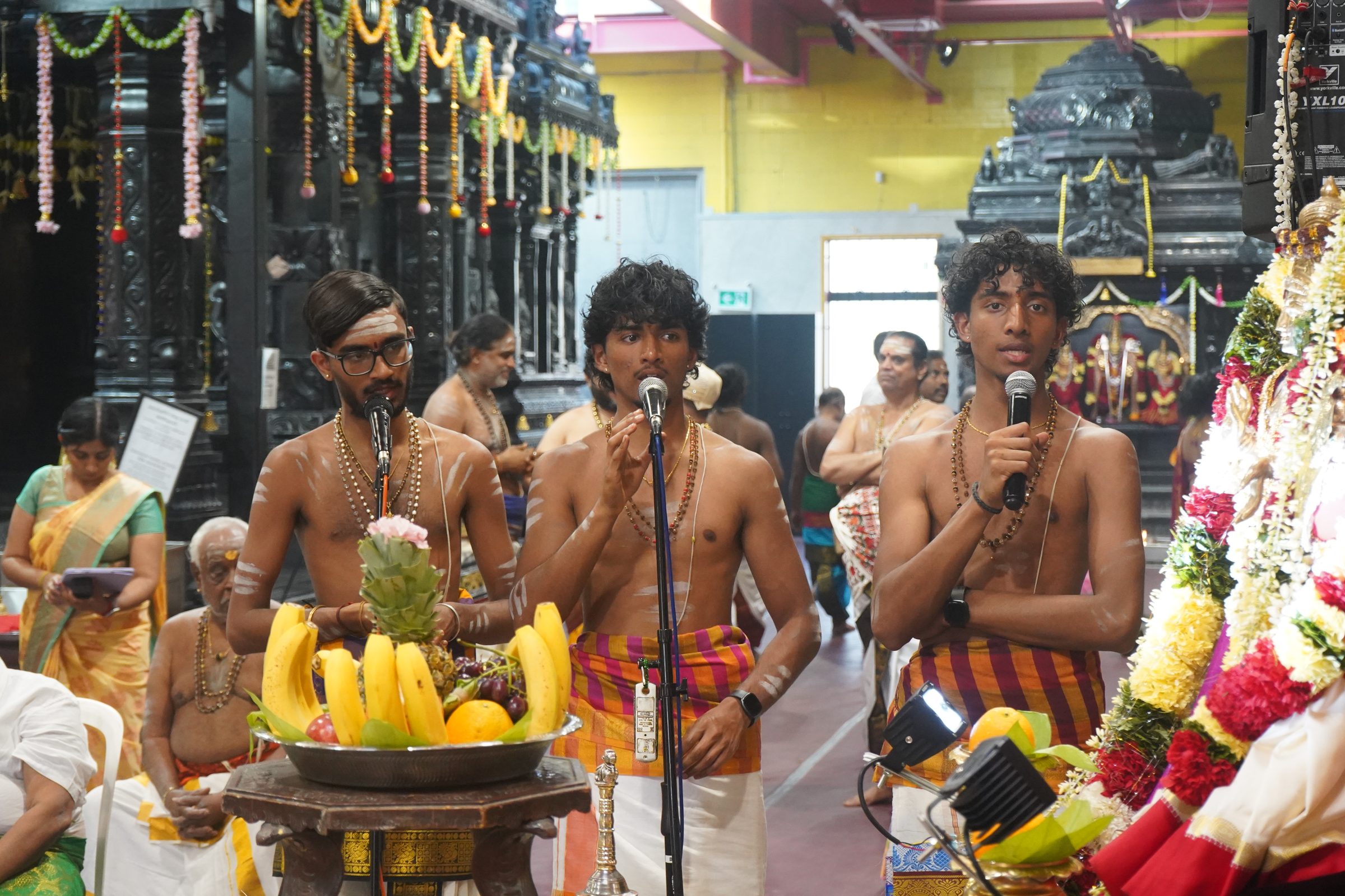 Festival 2026 photo