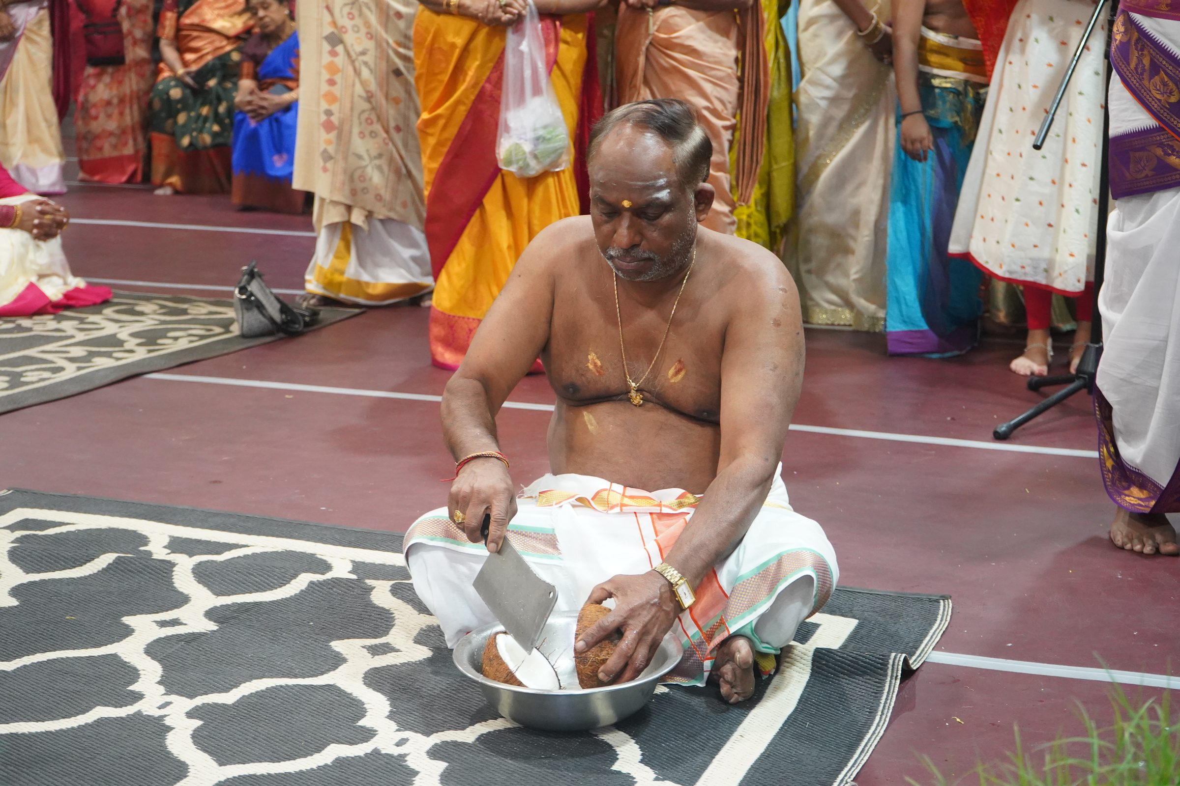 Festival 2026 photo