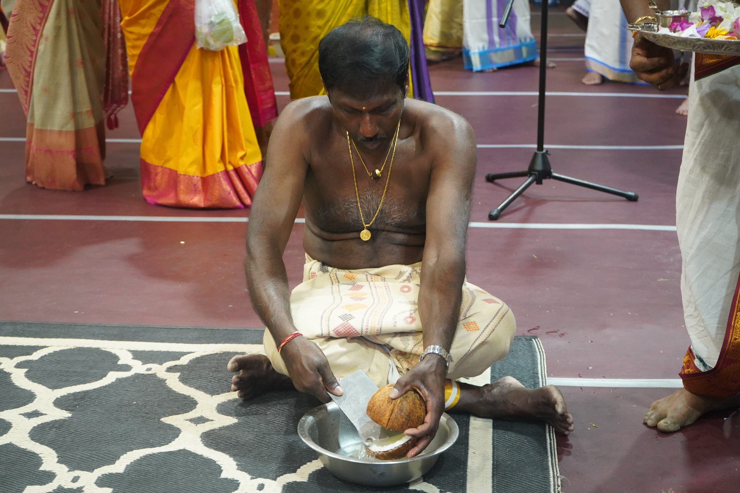 Festival 2026 photo
