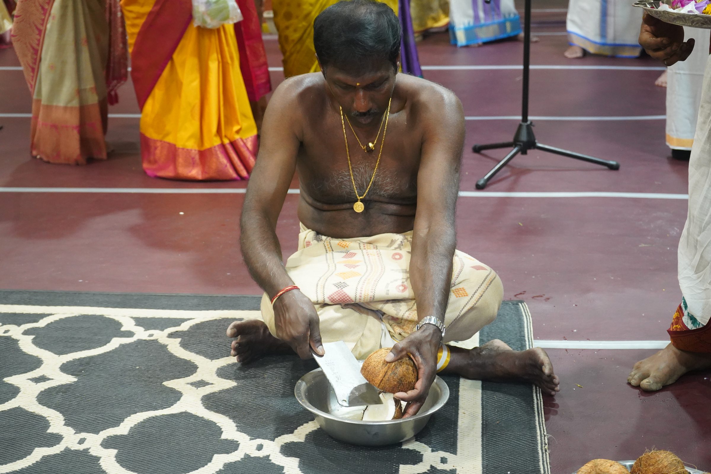 Festival 2026 photo