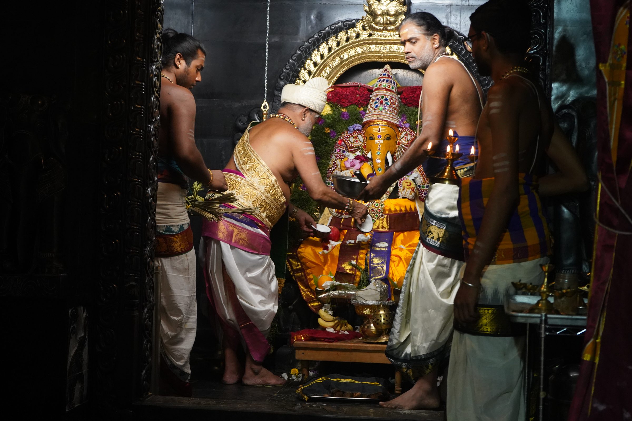 Festival 2026 photo