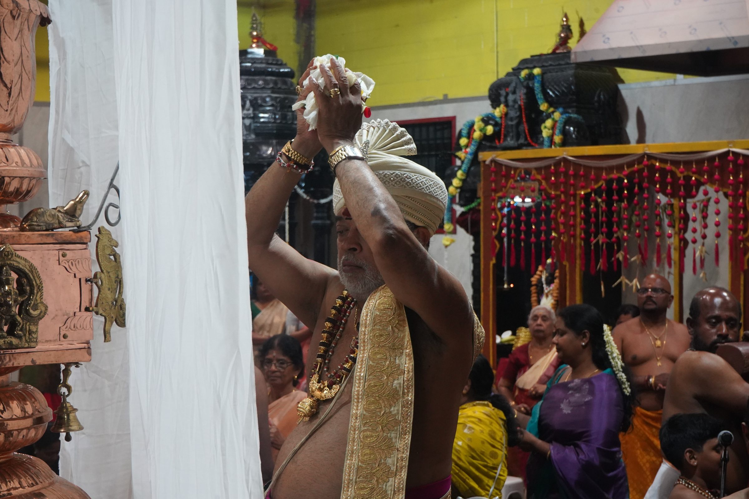 Festival 2026 photo