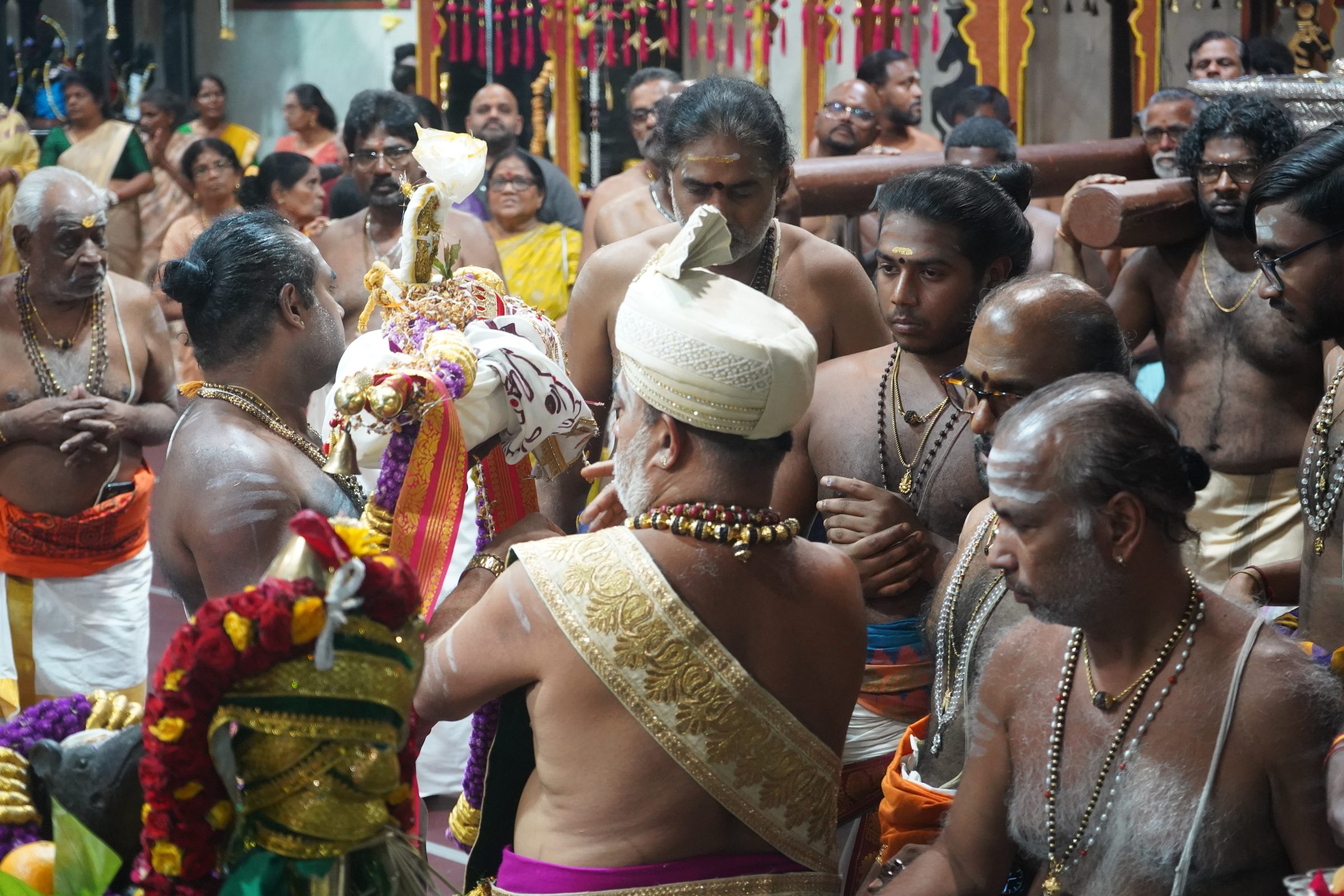 Festival 2026 photo