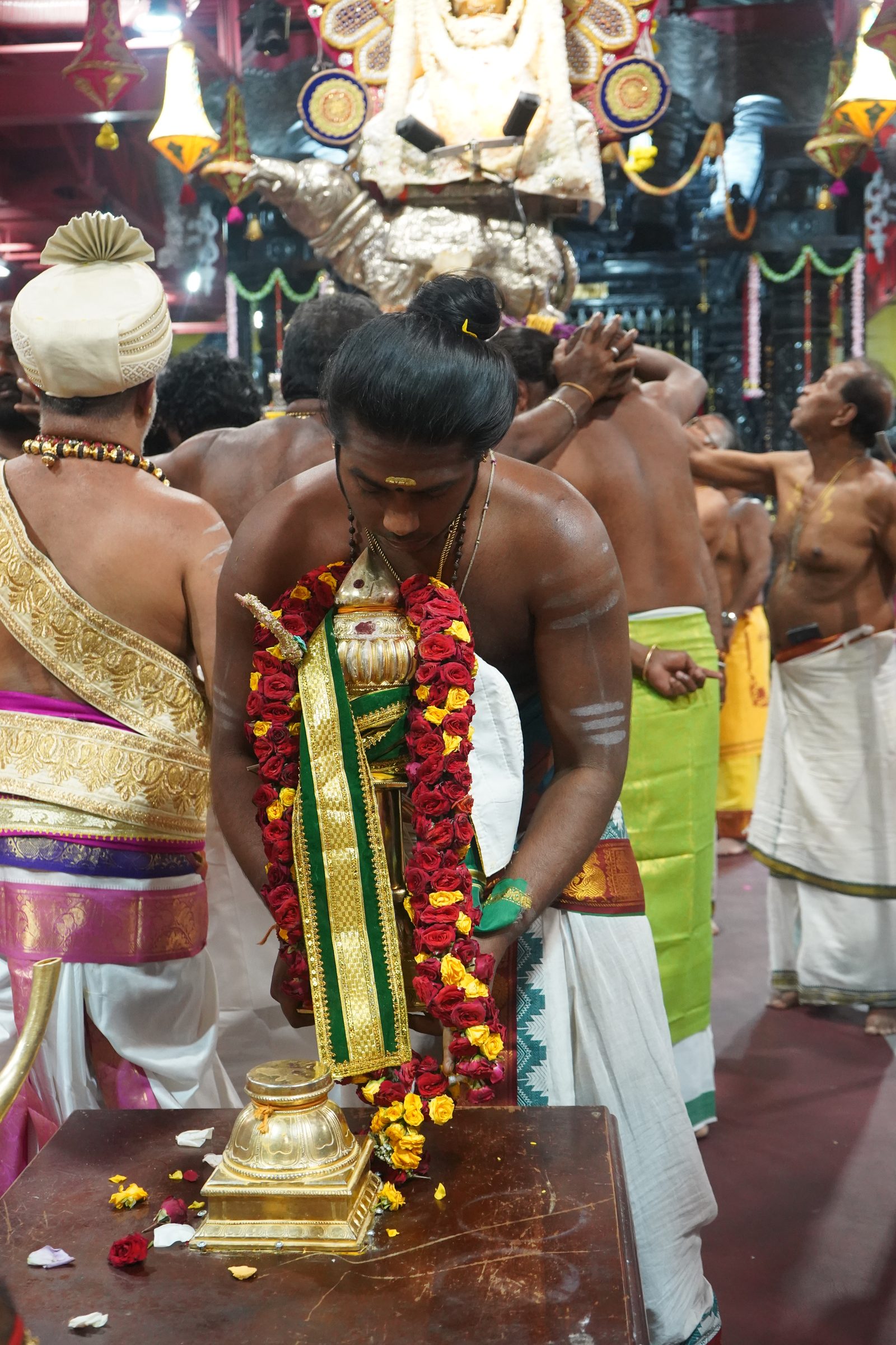 Festival 2026 photo