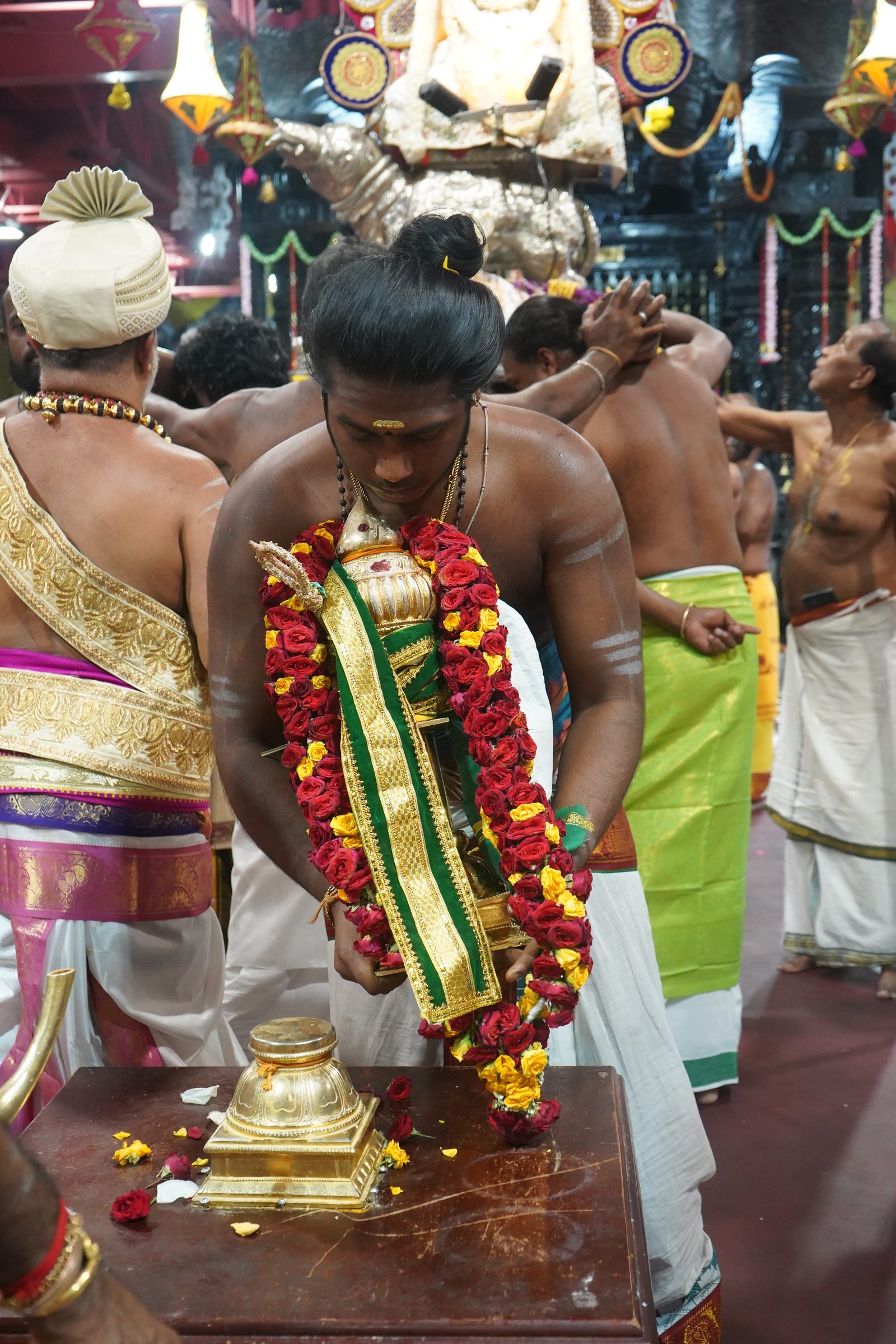 Festival 2026 photo