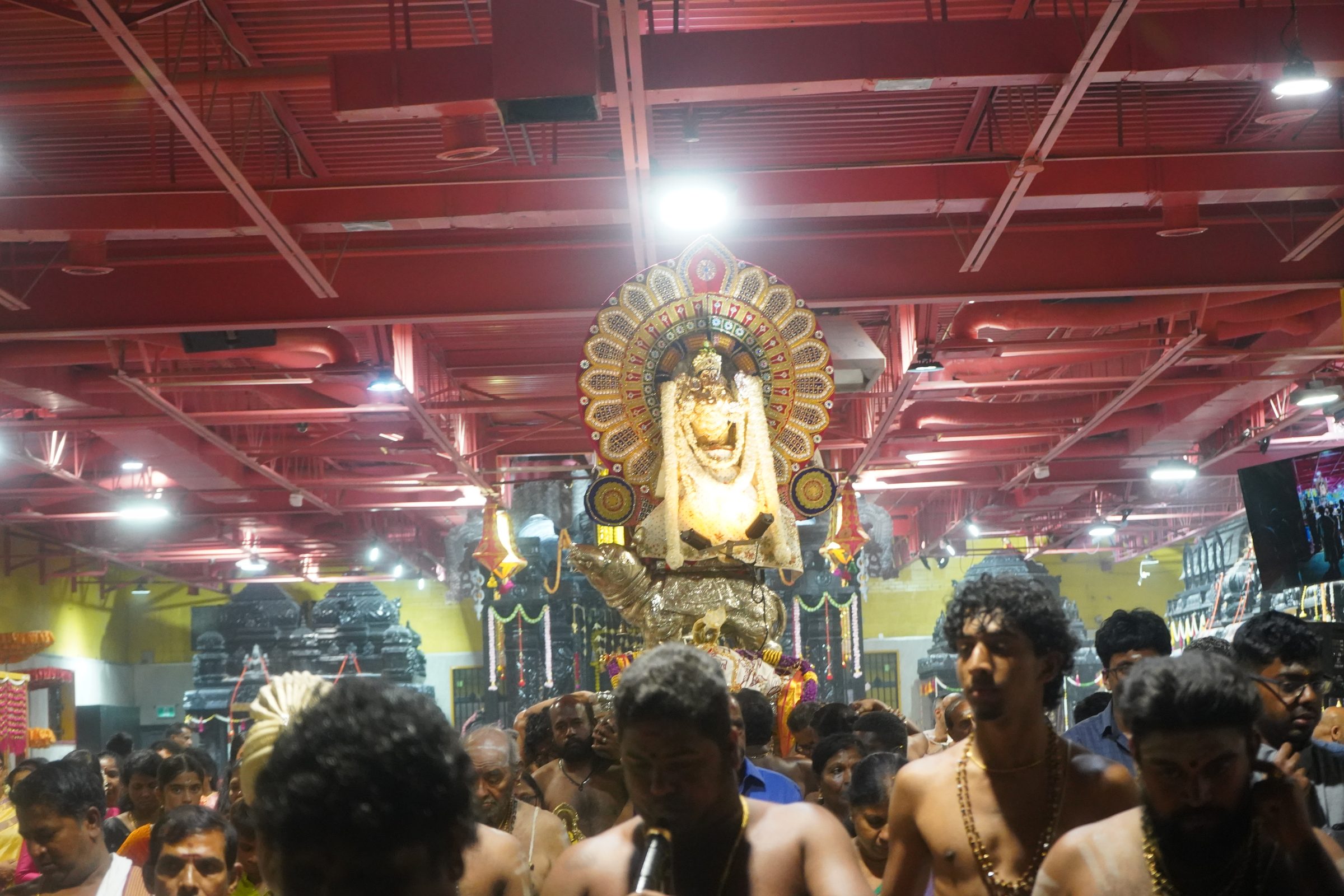 Festival 2026 photo