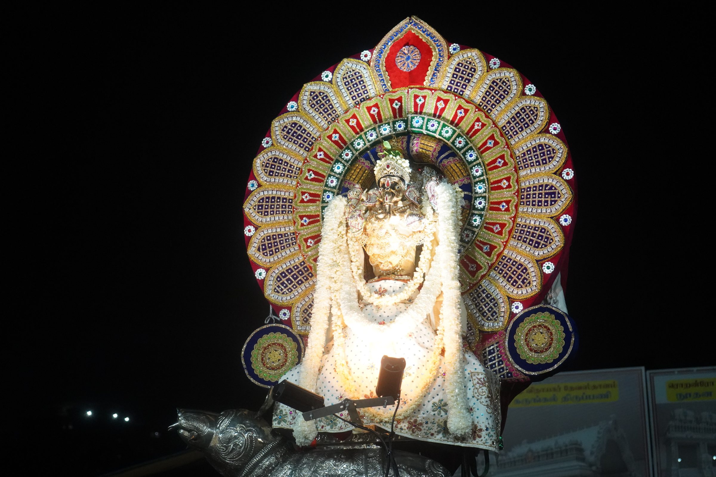 Festival 2026 photo